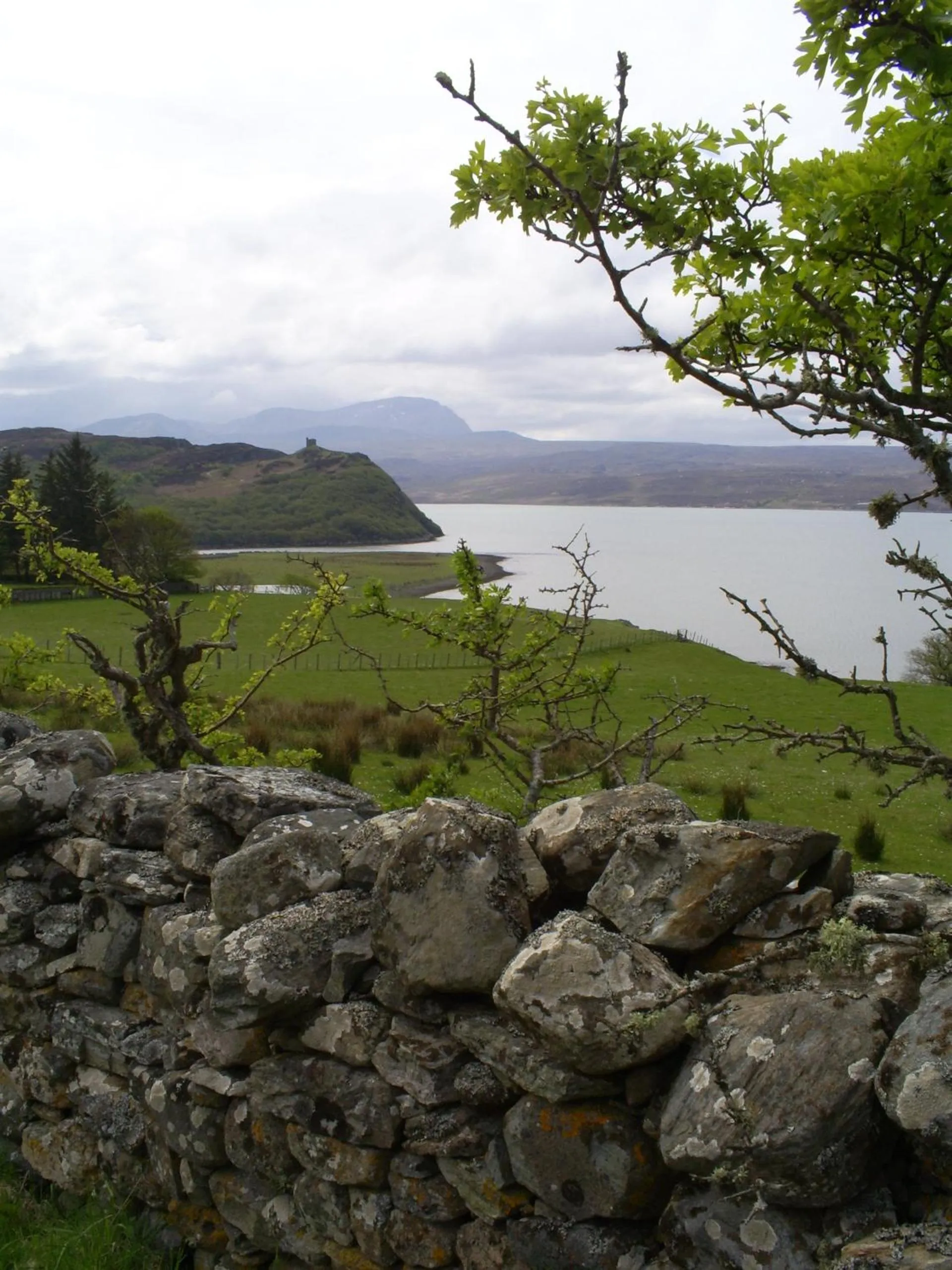 View (from property/room) in The Tongue Hotel, by Highland Coast Hotels