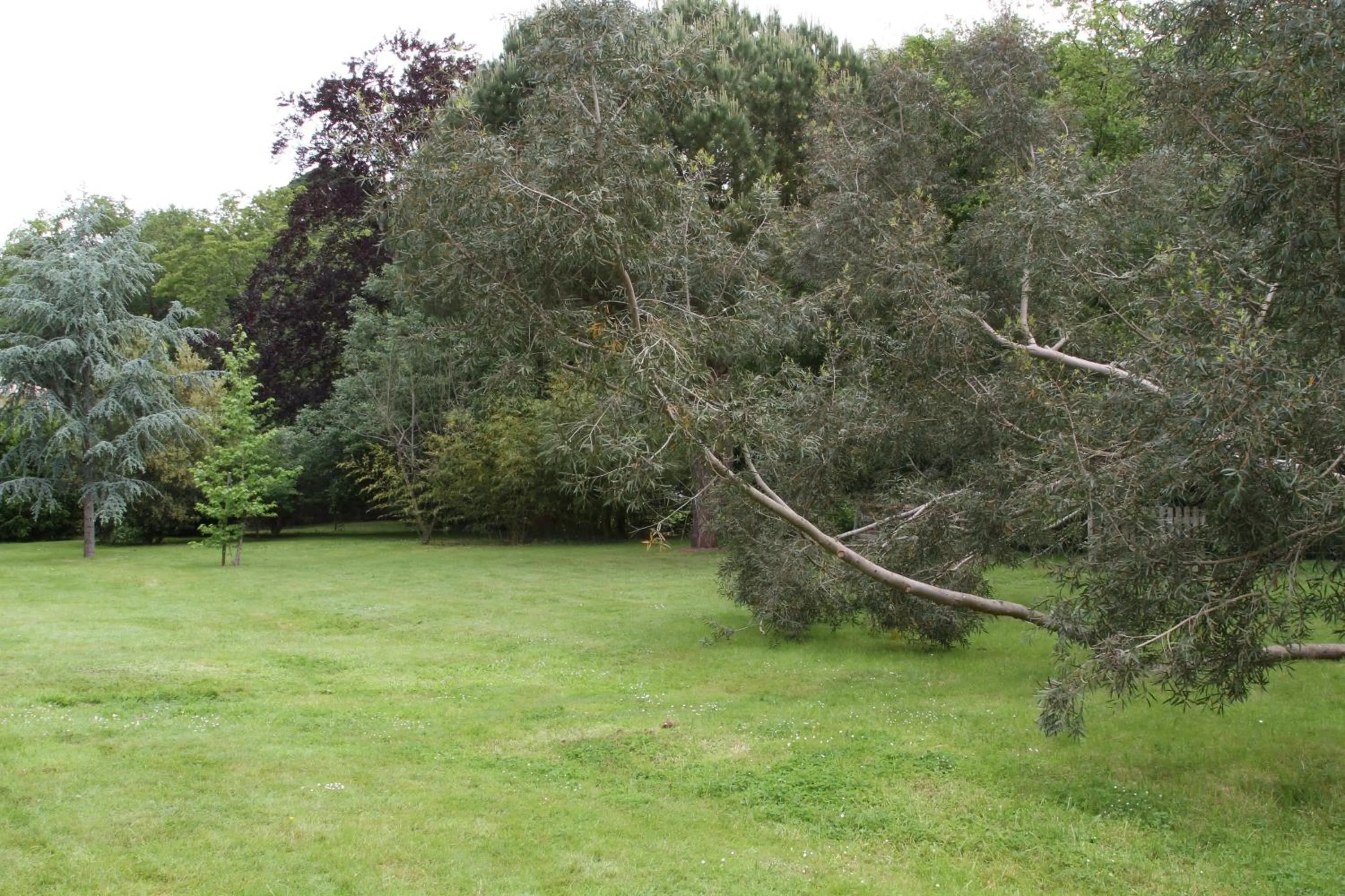 Garden in Château du Bois de La Noe
