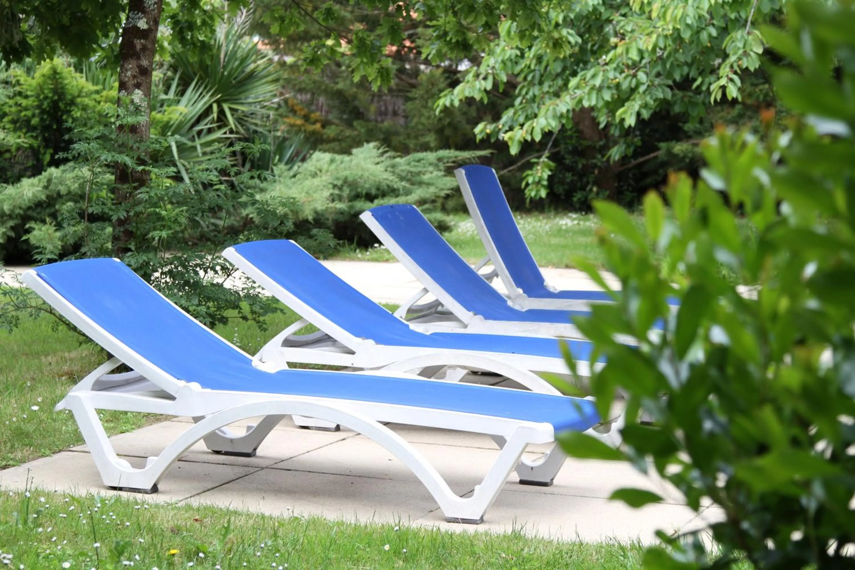 Swimming pool in Château du Bois de La Noe