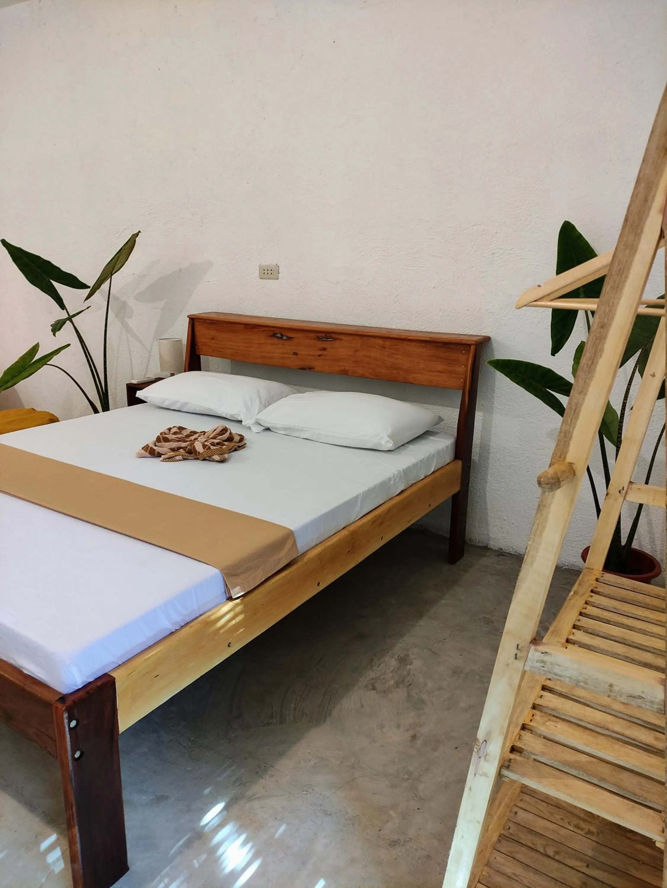 Bed in Sunlit Hostel