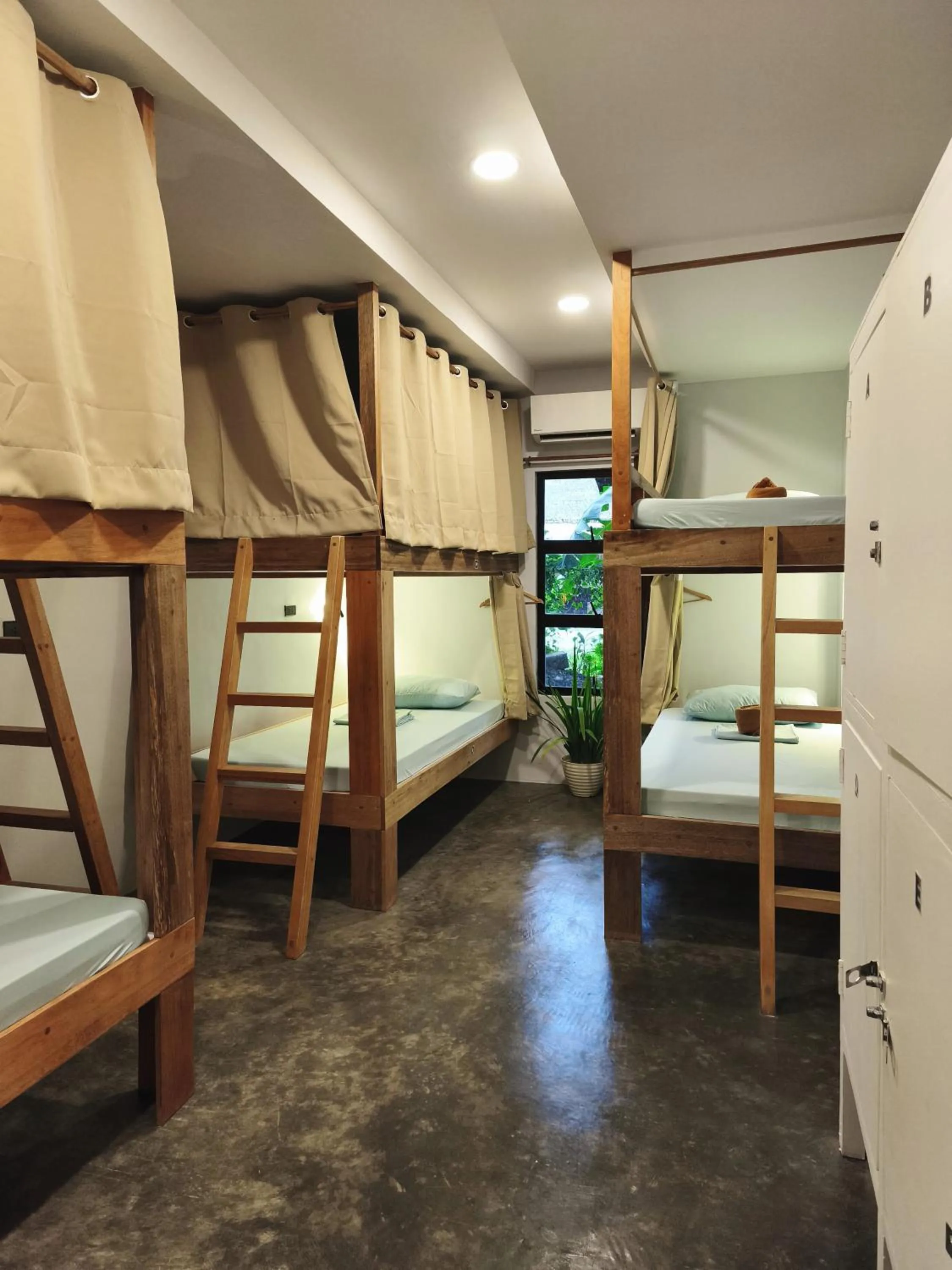 Bed in Sunlit Hostel