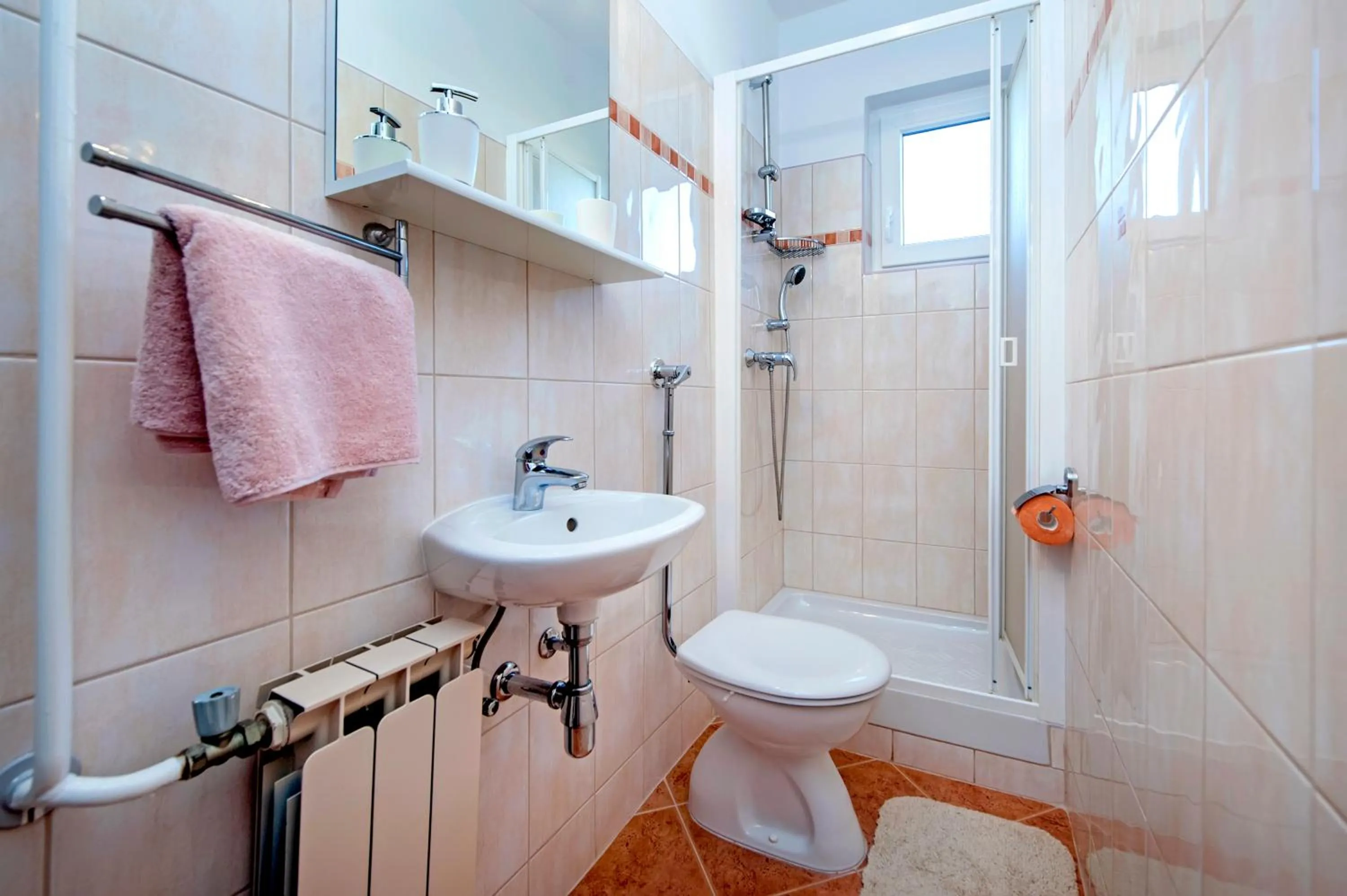 Shower in Apartment Ivo