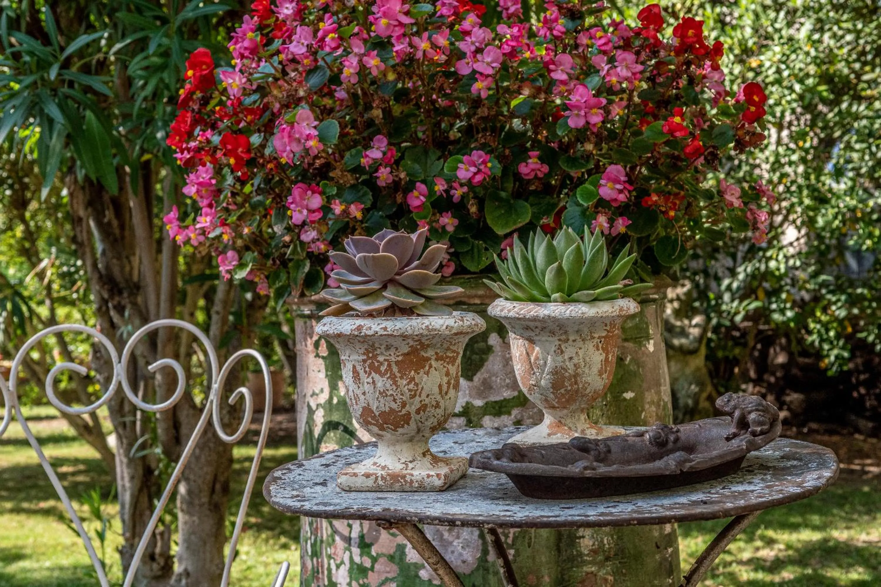 Garden in Mas d'Escattes