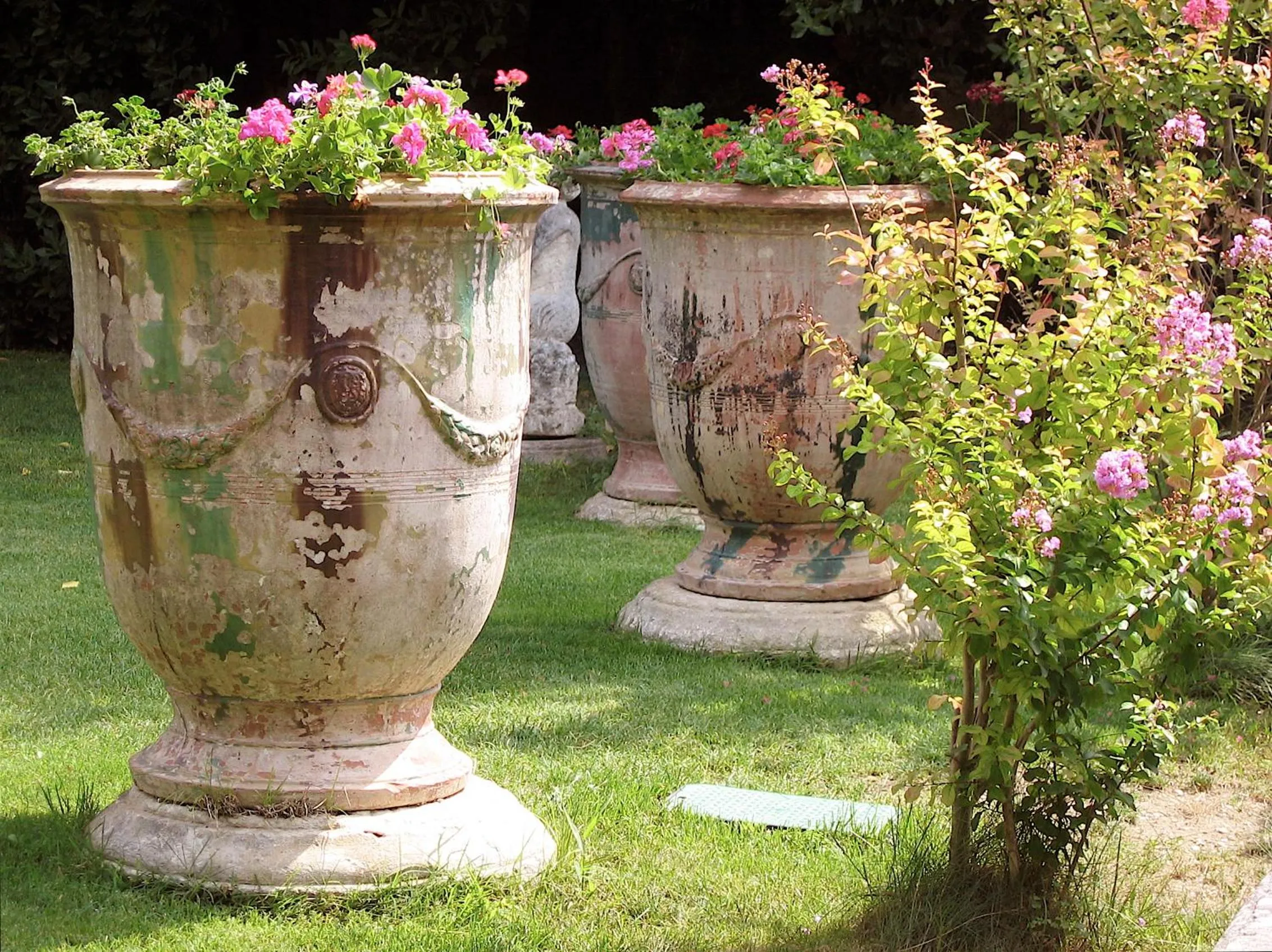 Garden in Mas d'Escattes