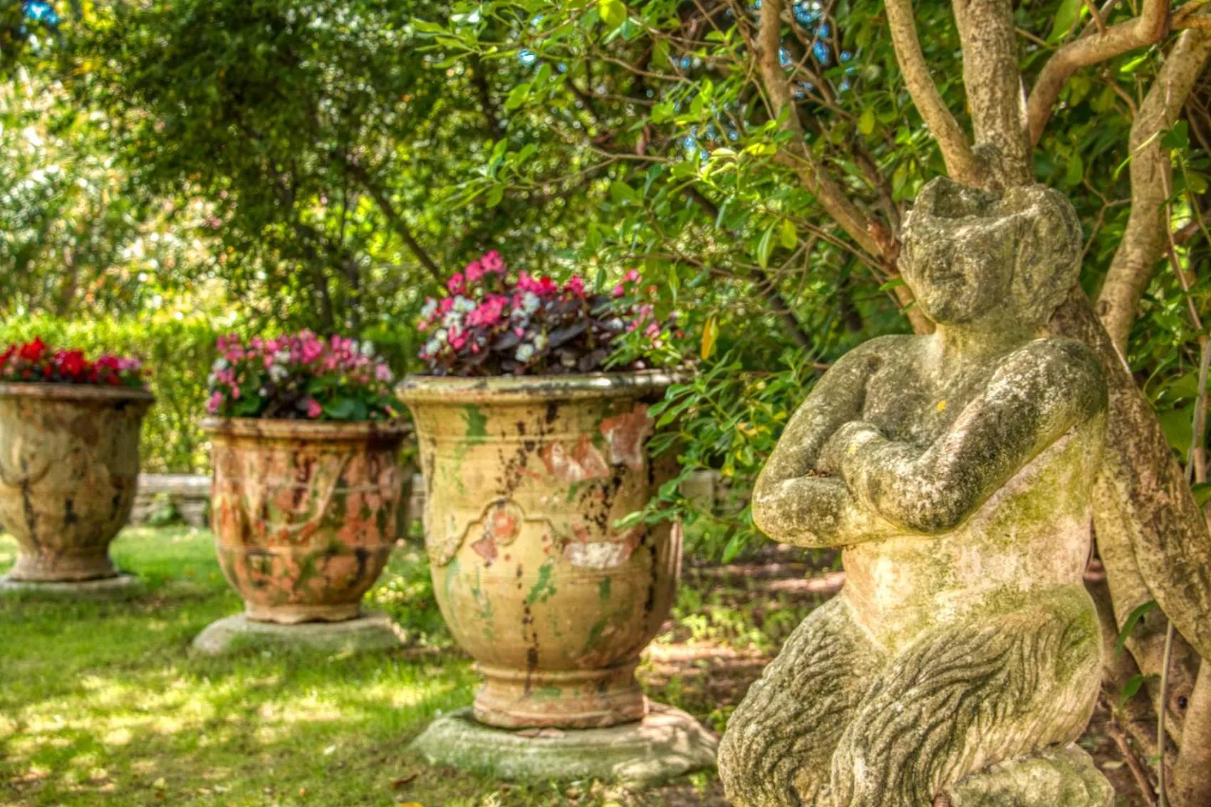 Garden in Mas d'Escattes