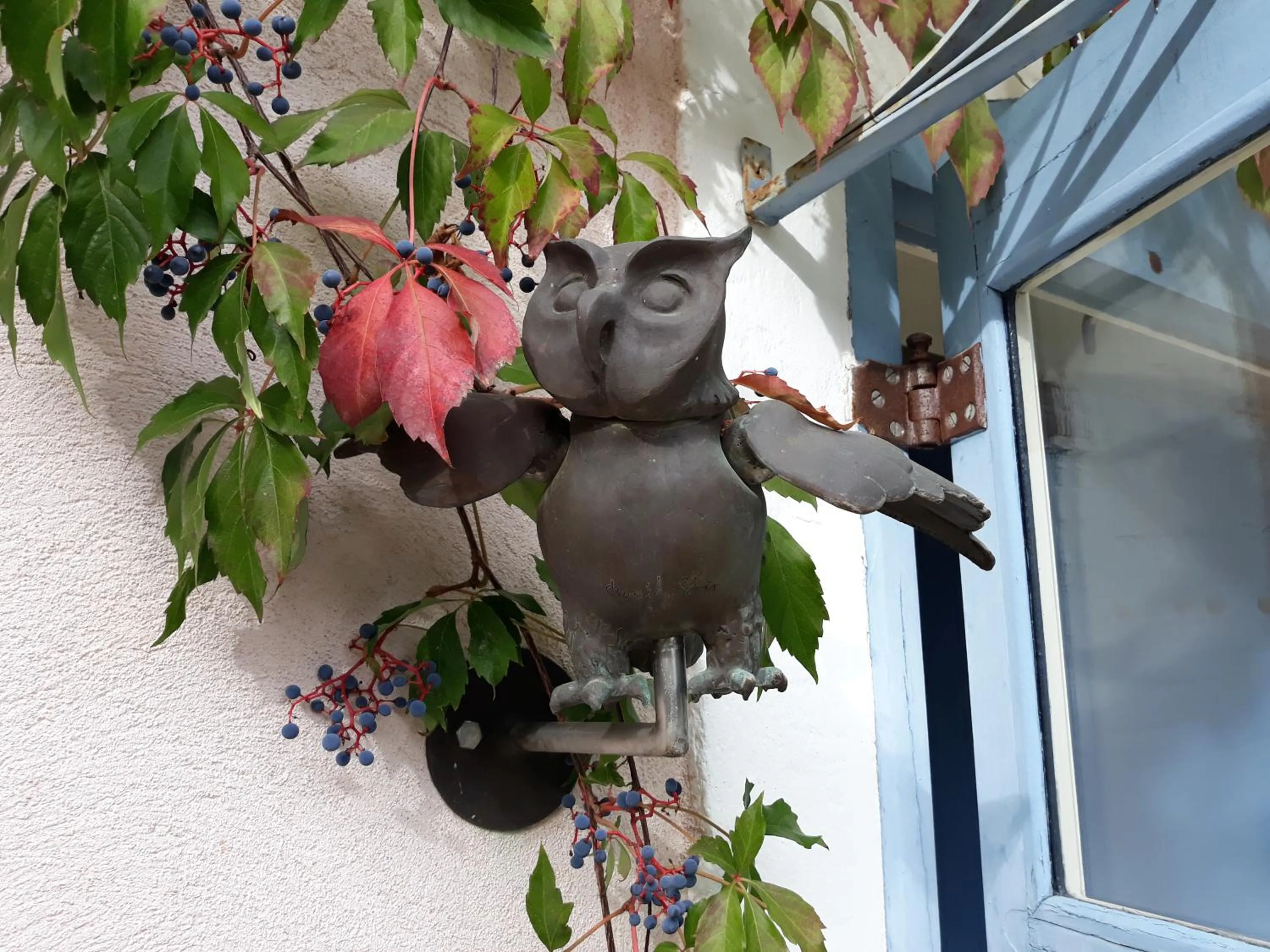 Pets in Mas d'Escattes