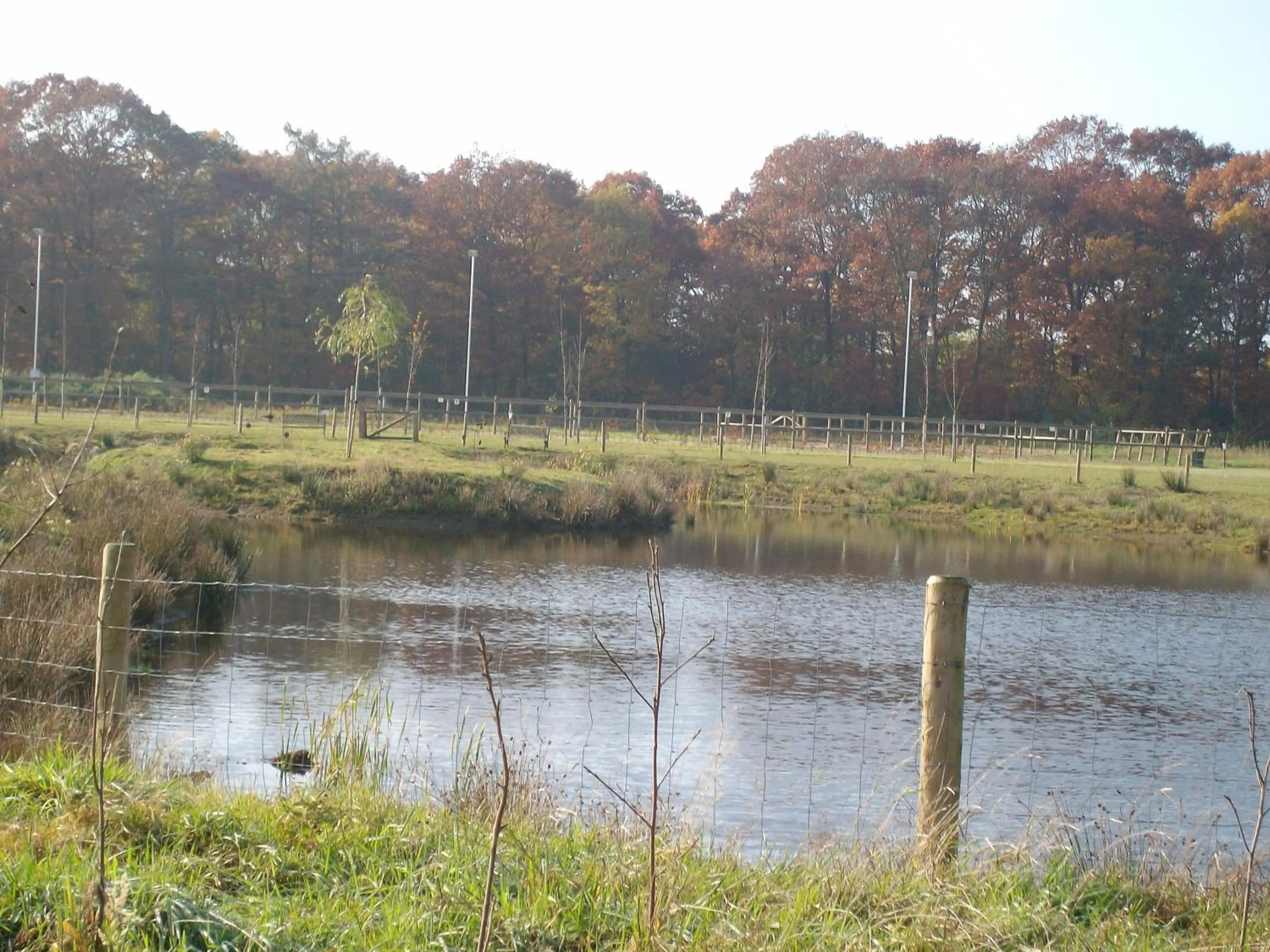 Garden in Horsetellerie Rheezerveen