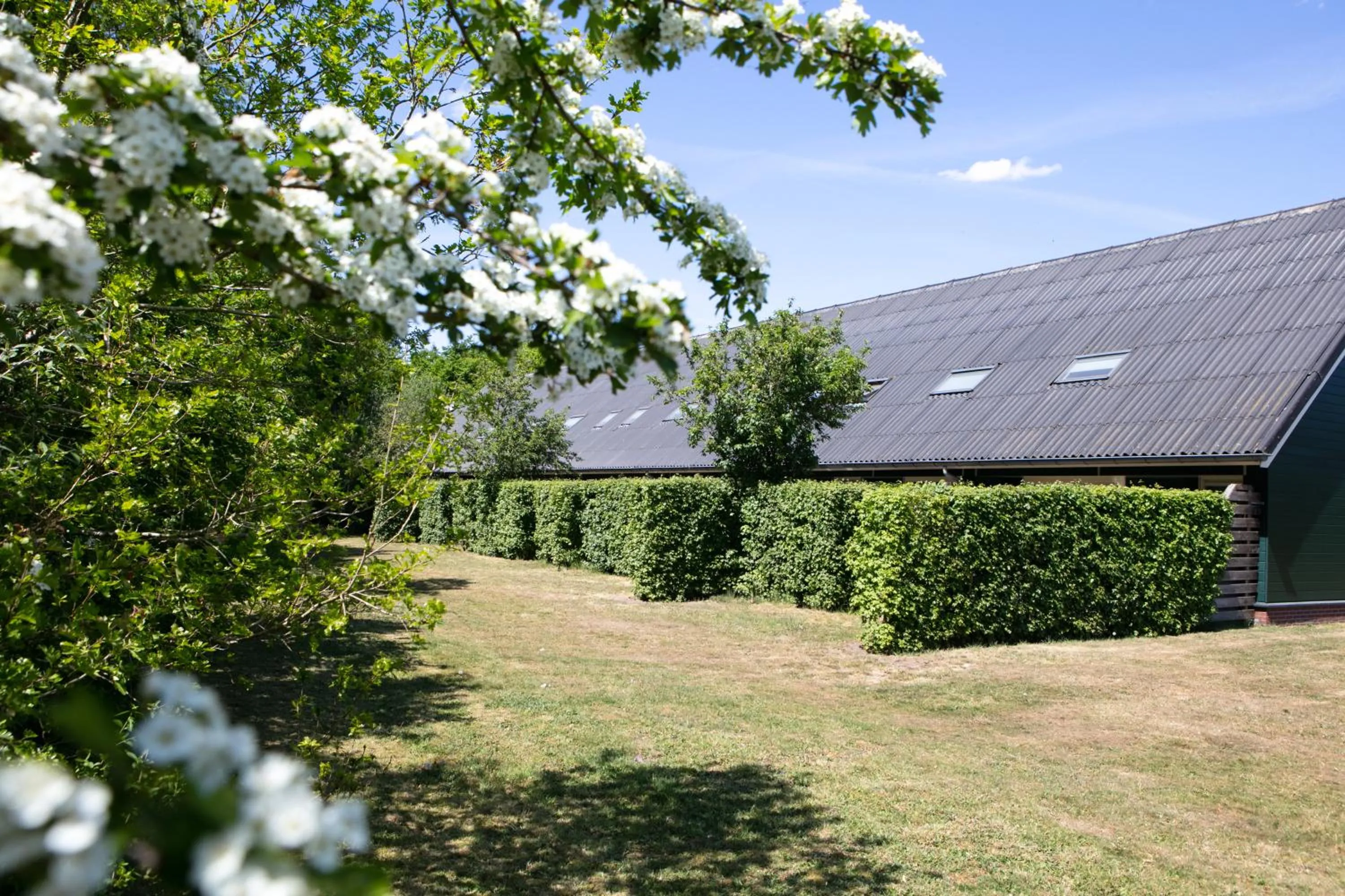 Property building in Horsetellerie Rheezerveen