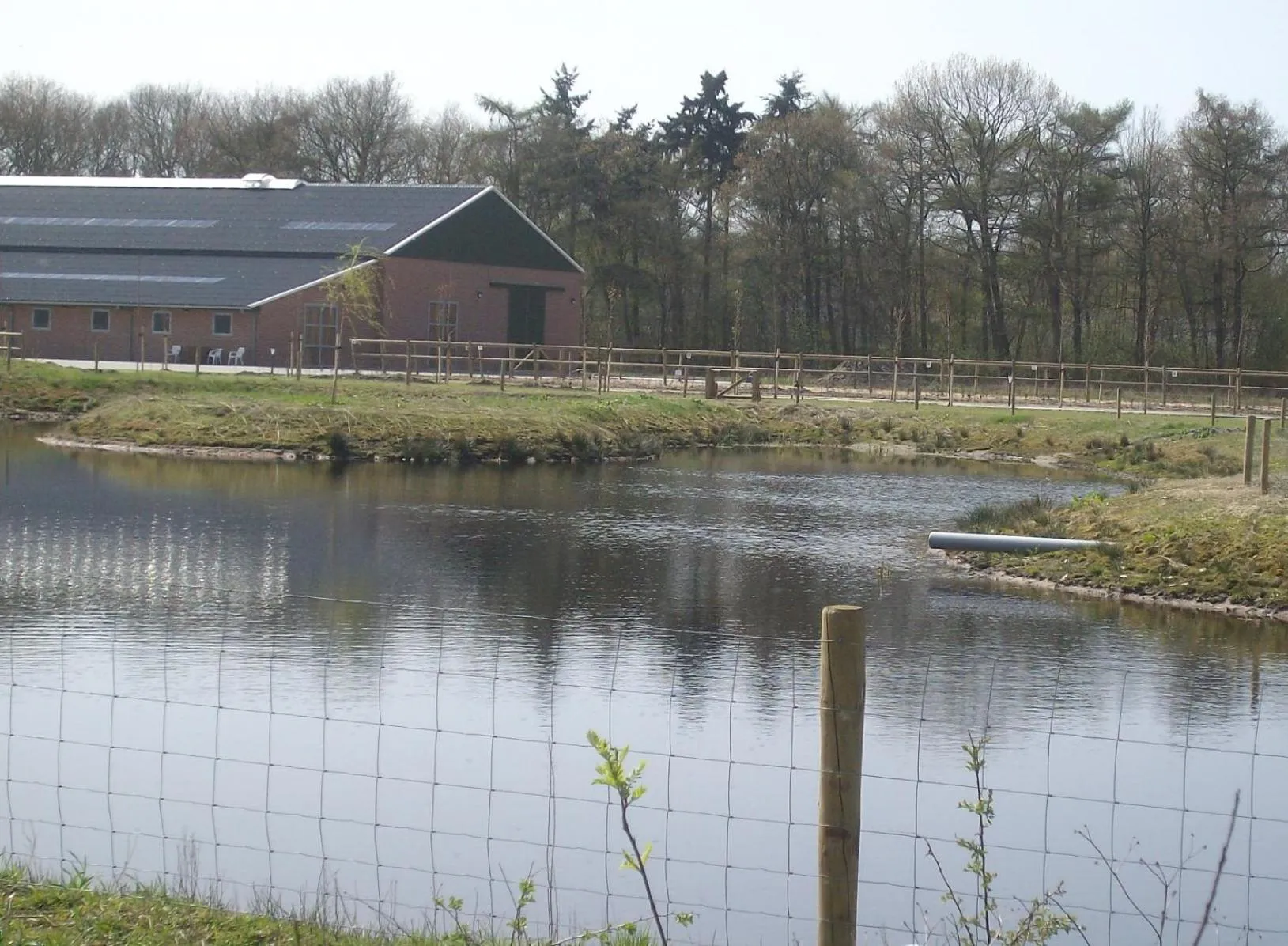 Horse-riding in Horsetellerie Rheezerveen