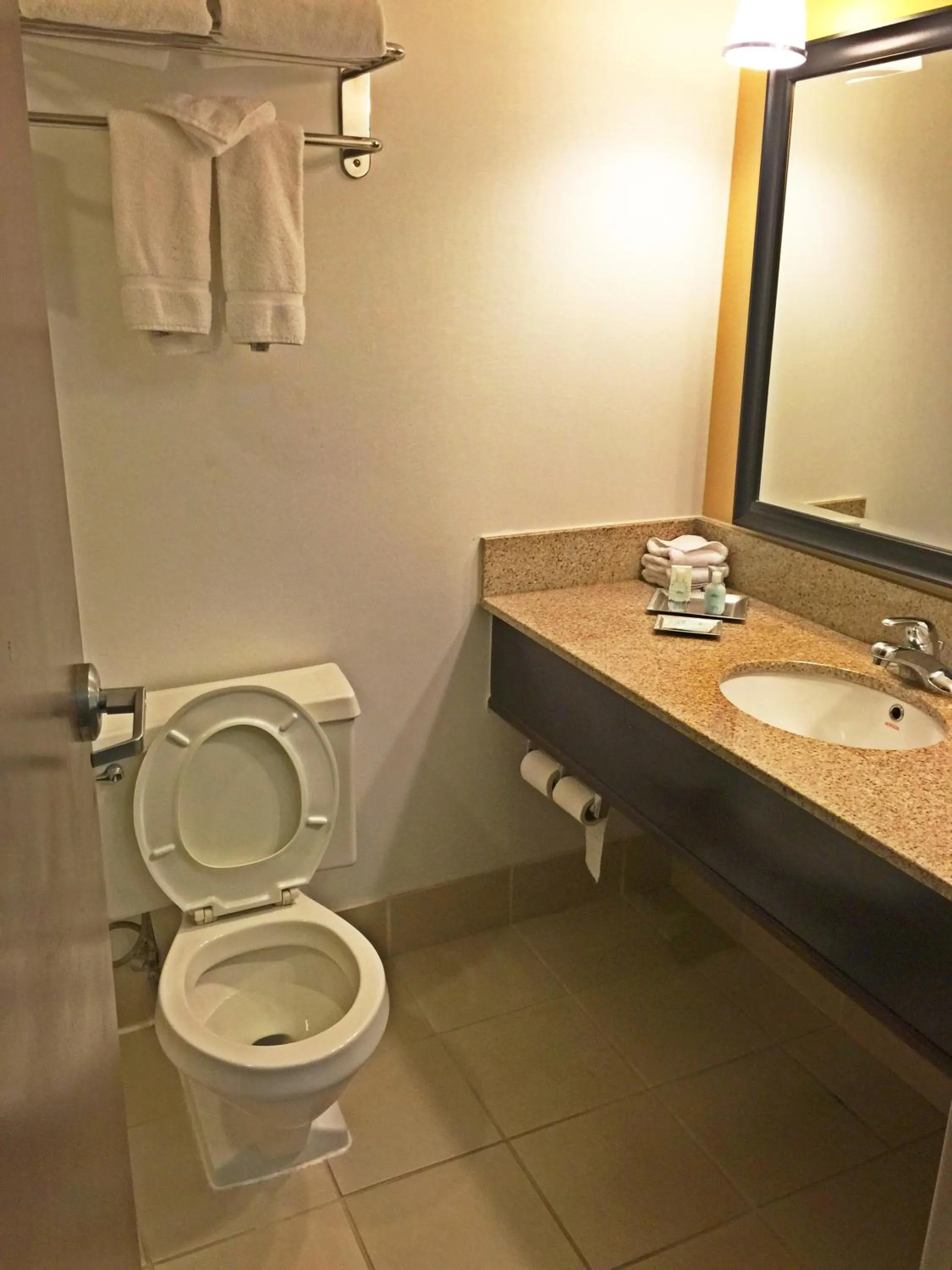 Bathroom in Wyndham Garden Inn Pittsburgh Airport