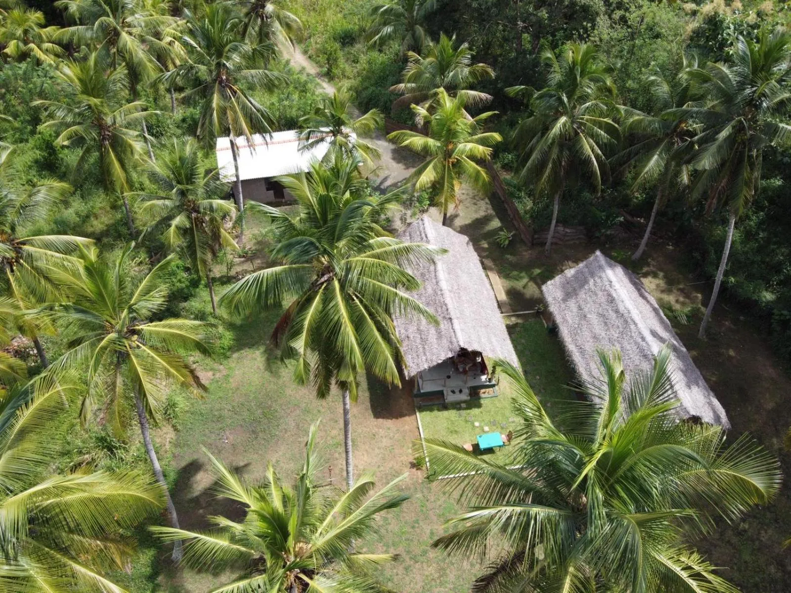 Jungle View River Camping