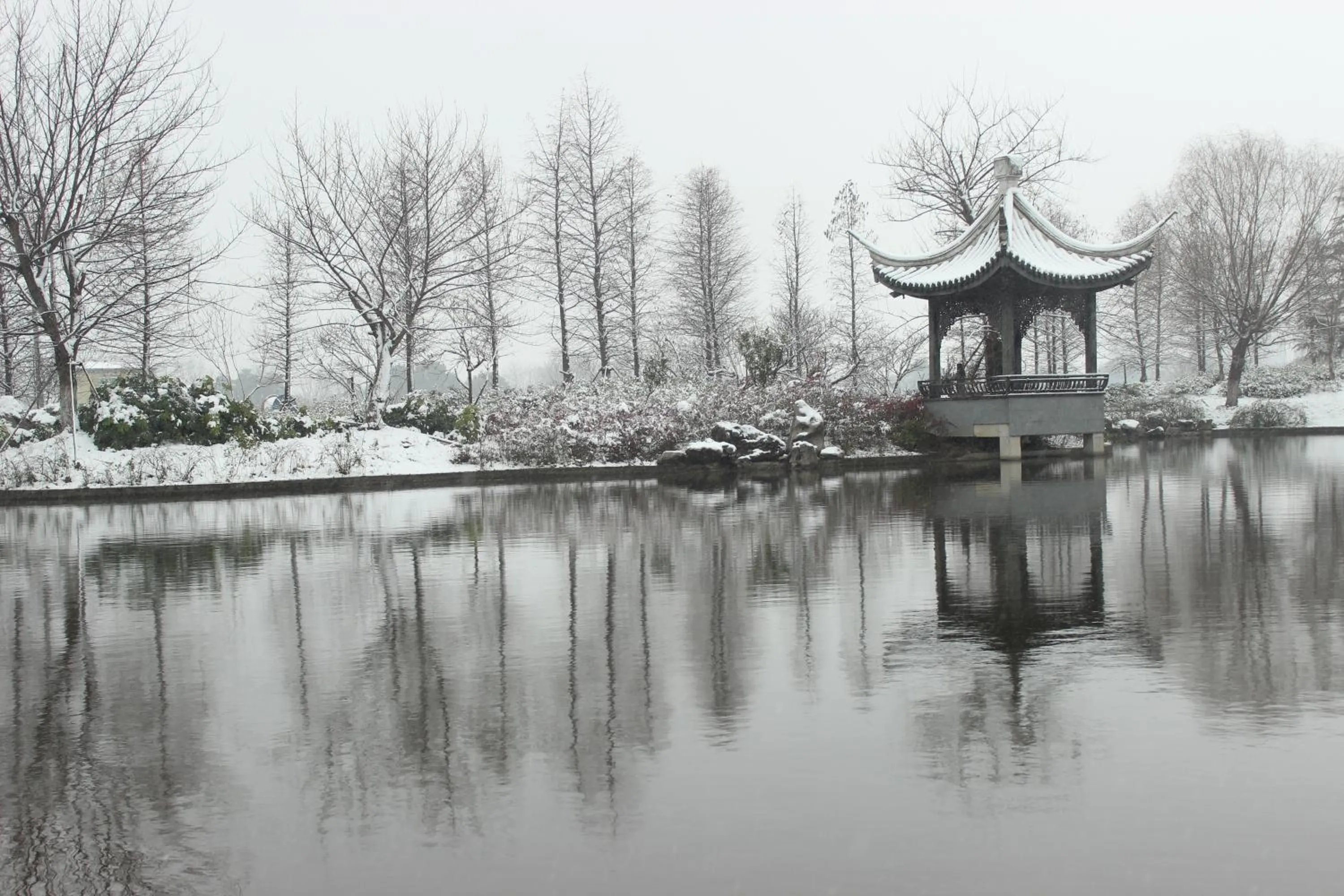 Winter in Radisson Blu Resort Wetland Park