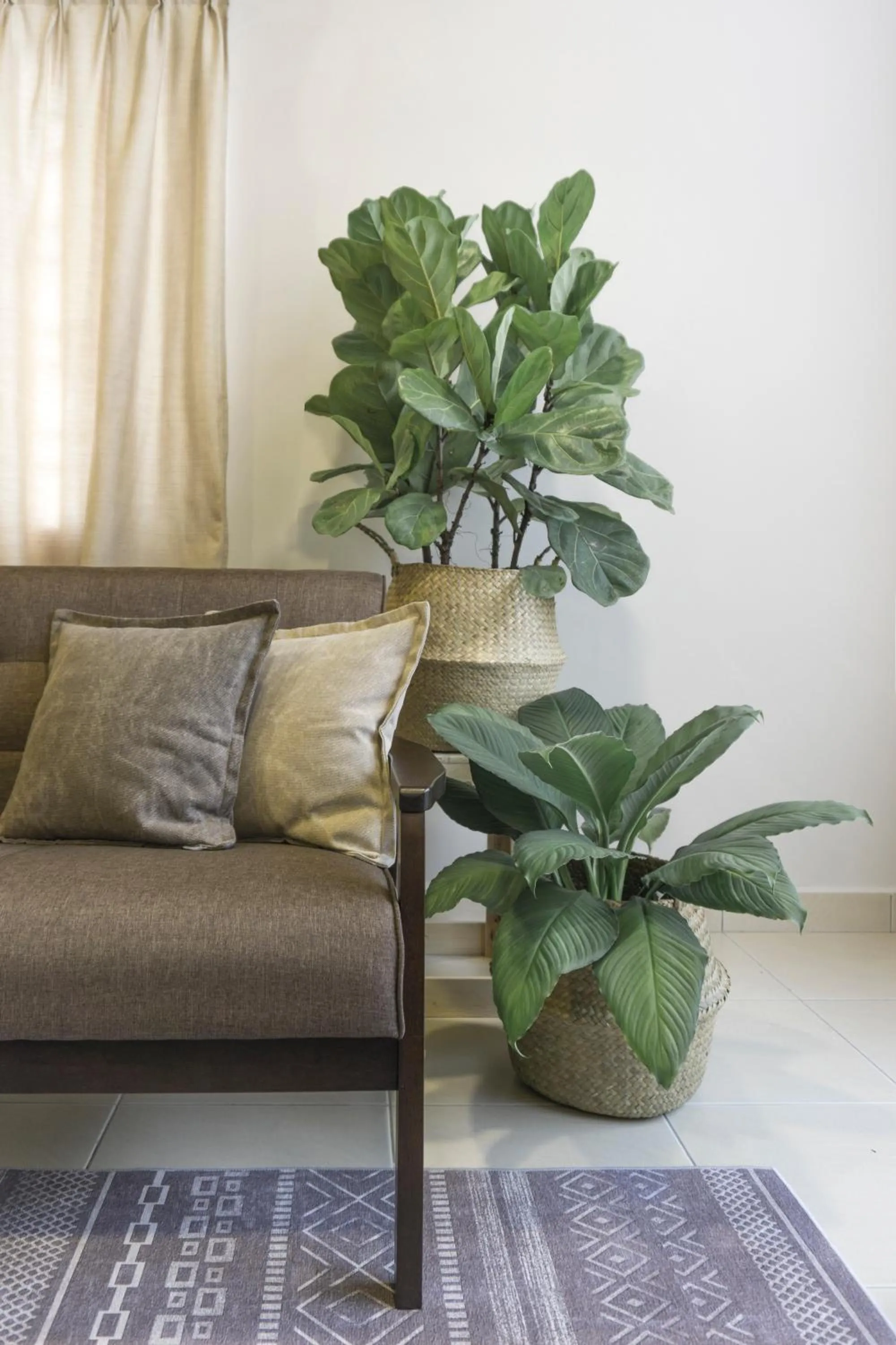 Property building in Arc1901 staycation