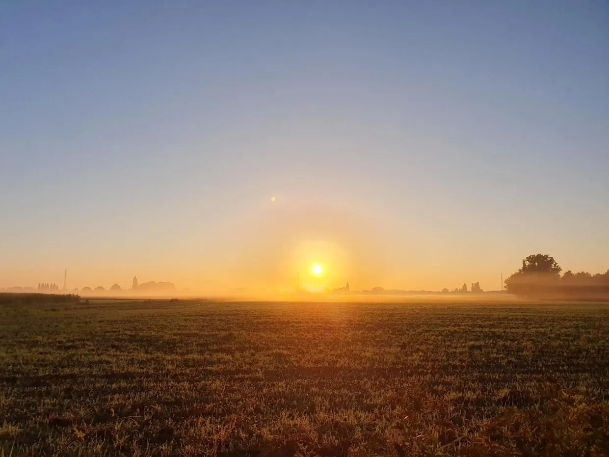Garden in B&B De Vlaschaerd