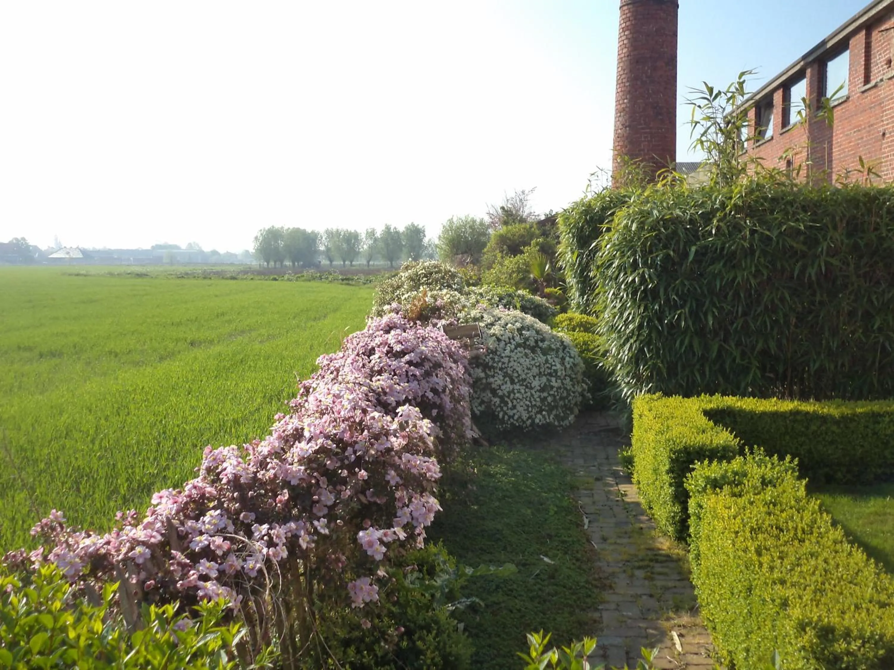 Garden in B&B De Vlaschaerd
