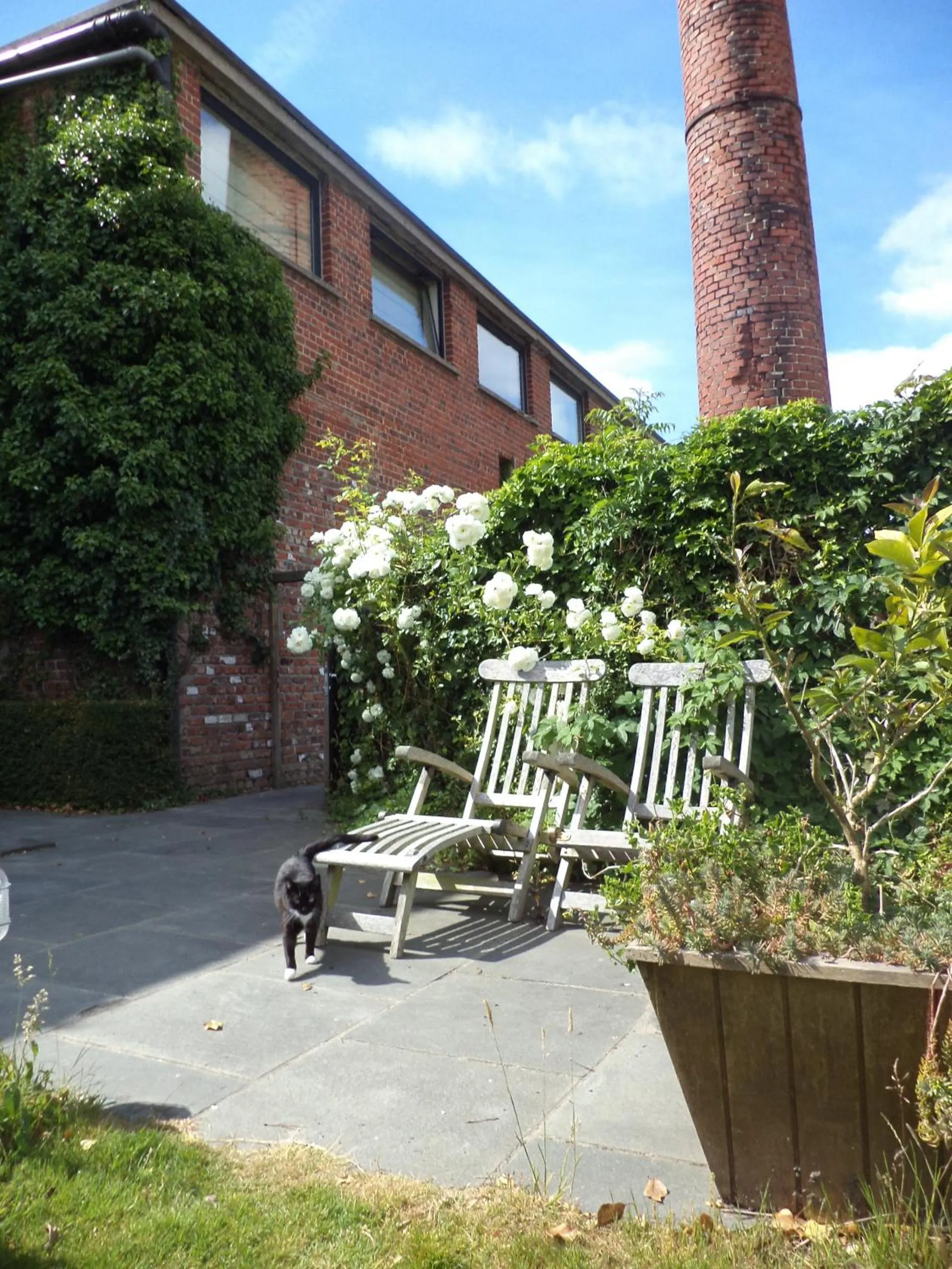 Garden in B&B De Vlaschaerd