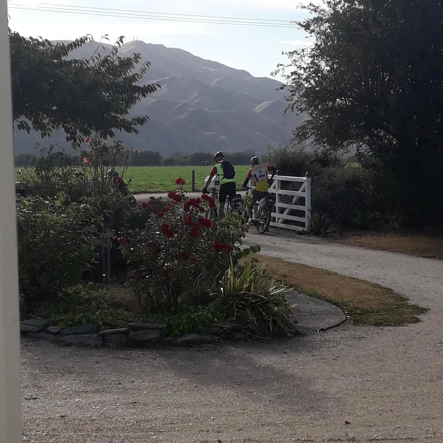 Cycling in Western House B&B Kurow