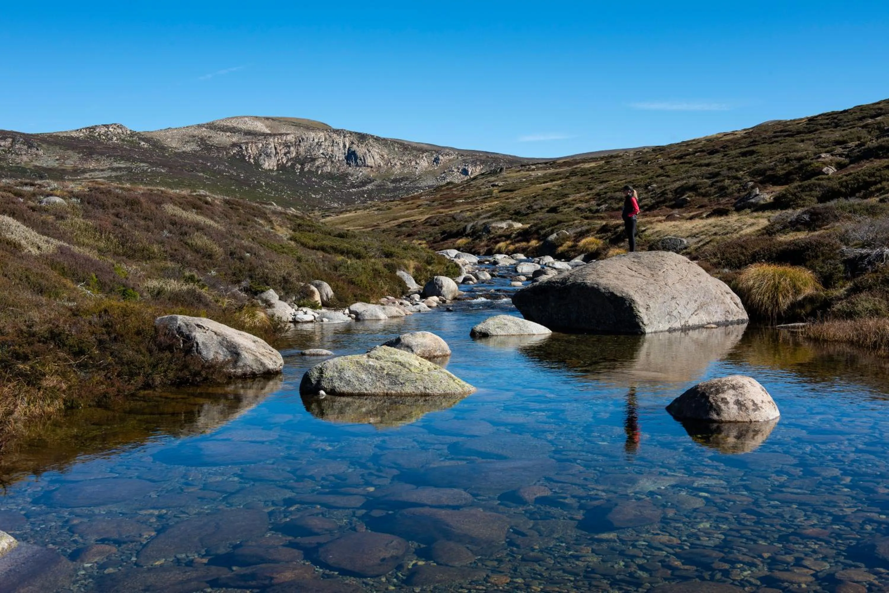 Summer in Stillwell Hotel