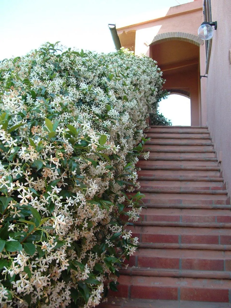 Facade/entrance in Agriturismo Pian dei Pini