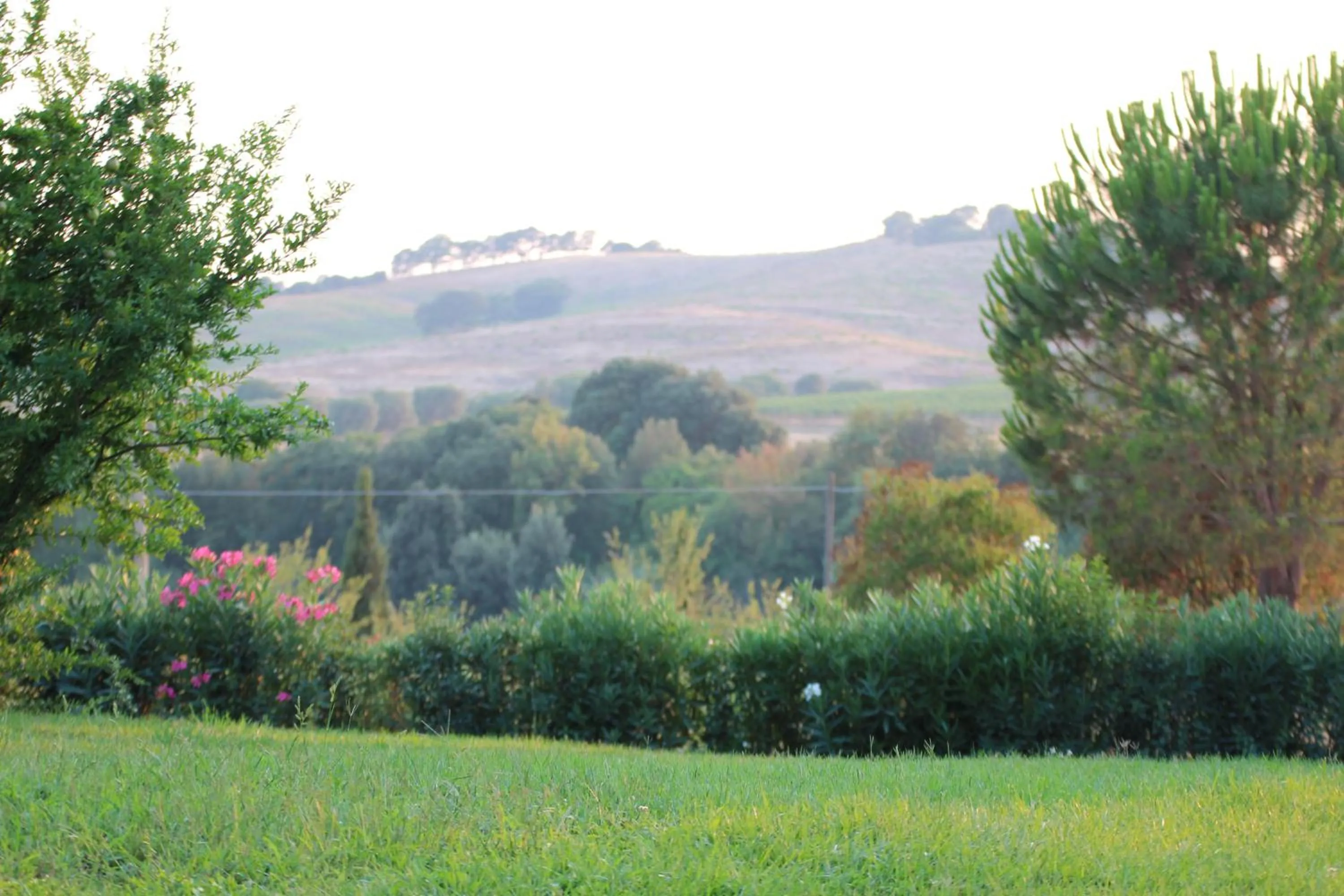 Garden view in Agriturismo Pian dei Pini