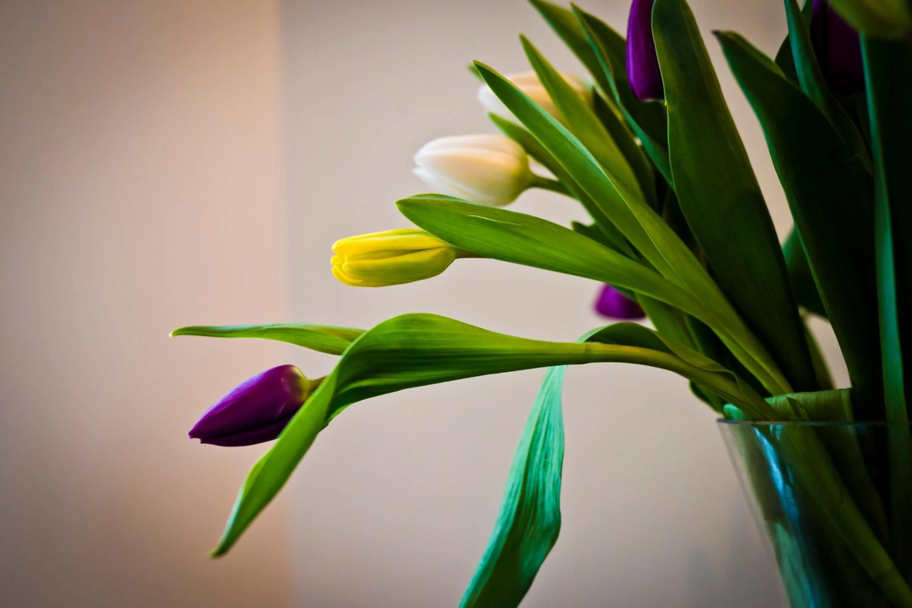 Bedroom in Bowling Green
