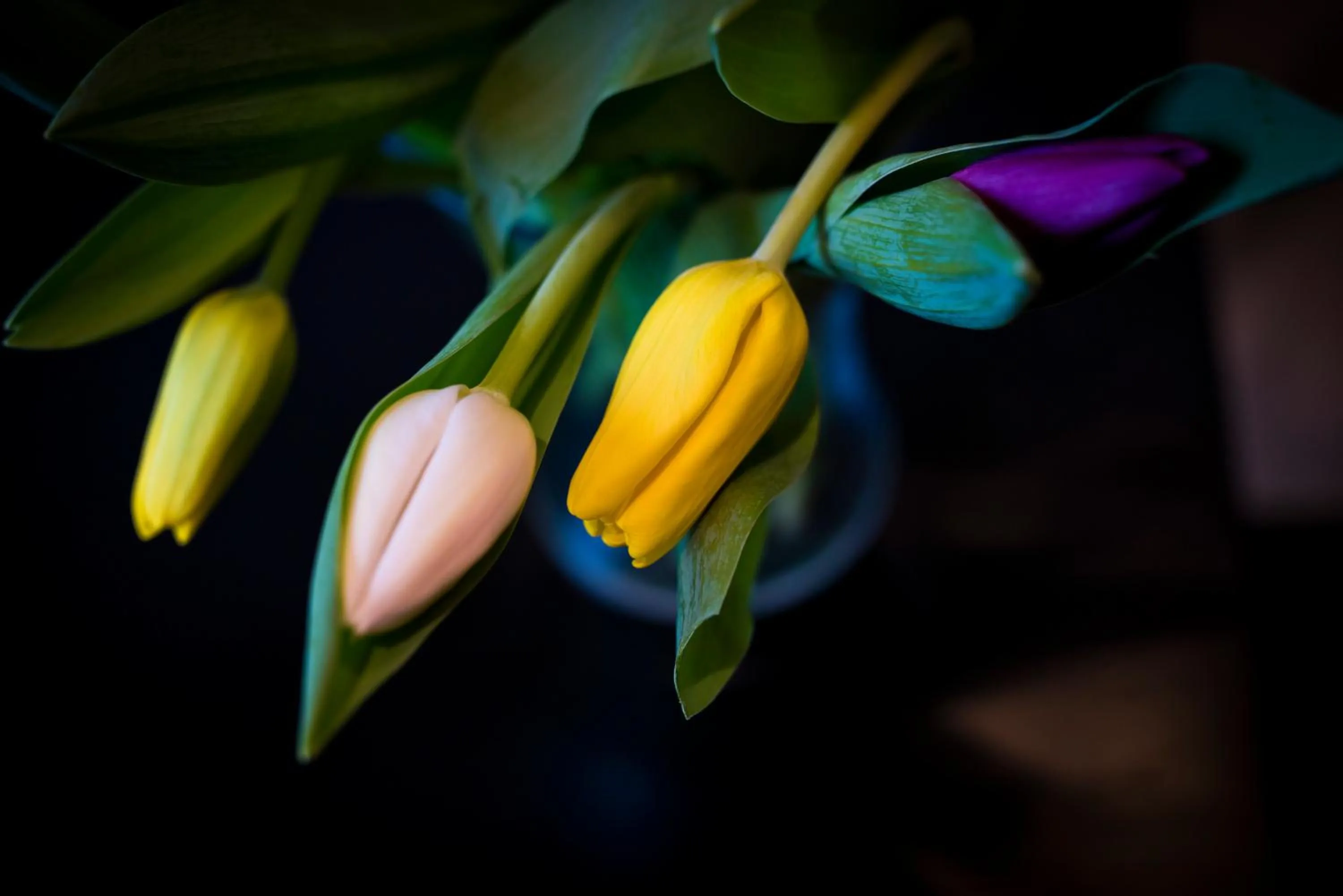 Bedroom in Bowling Green