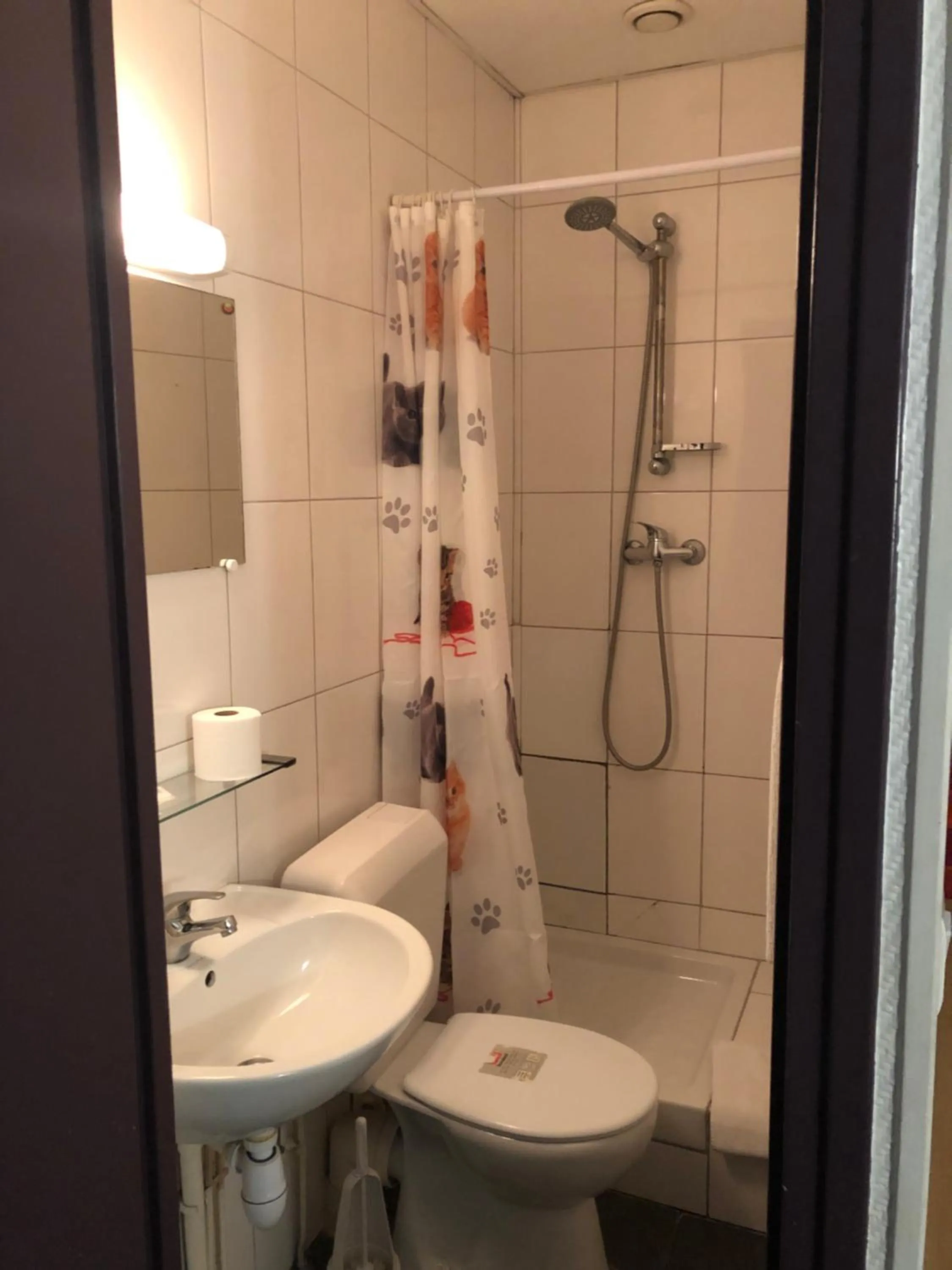 Shower in Hotel Chevallier