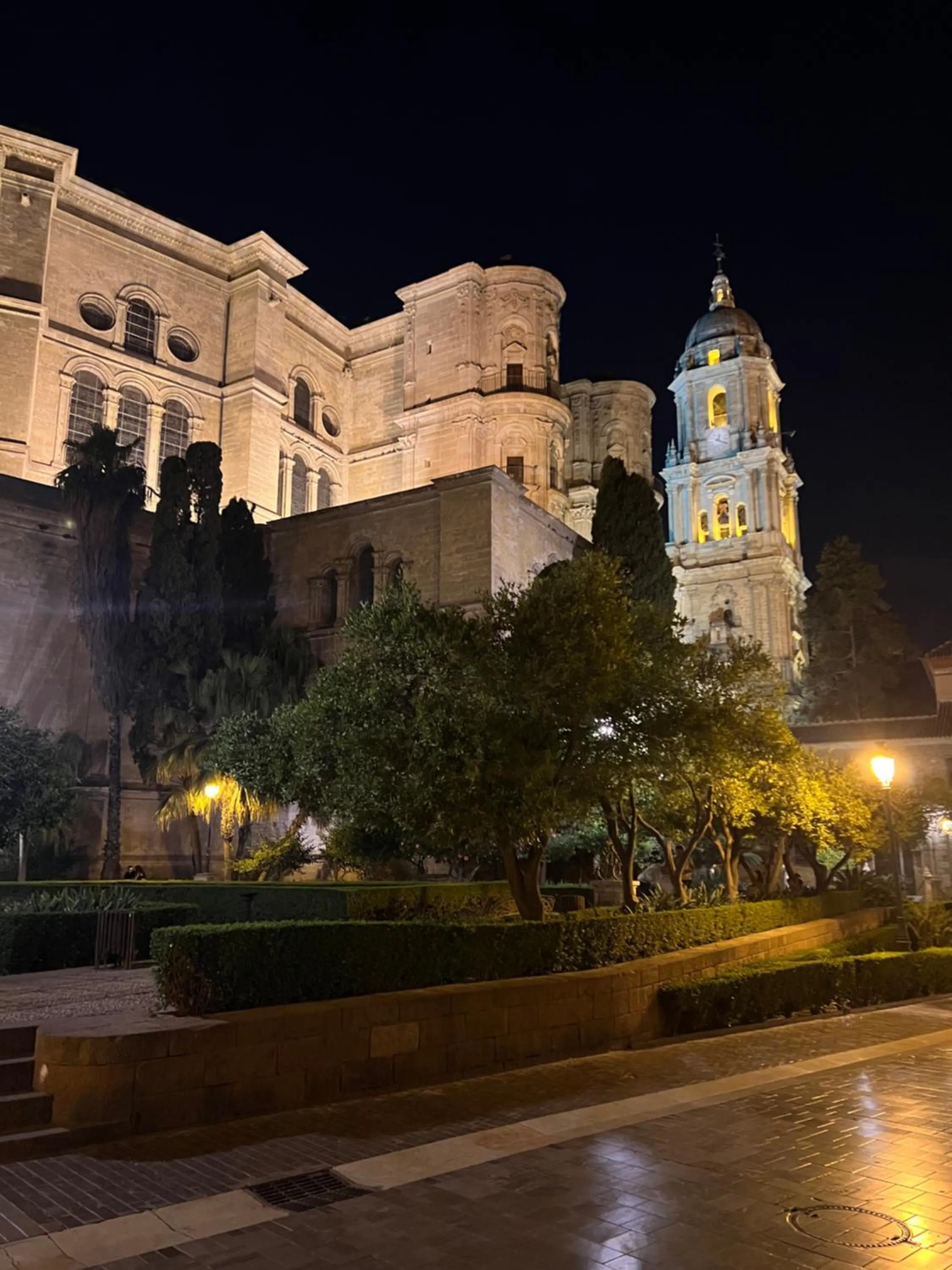 Night in Suite Premium - Cathedral of Malaga
