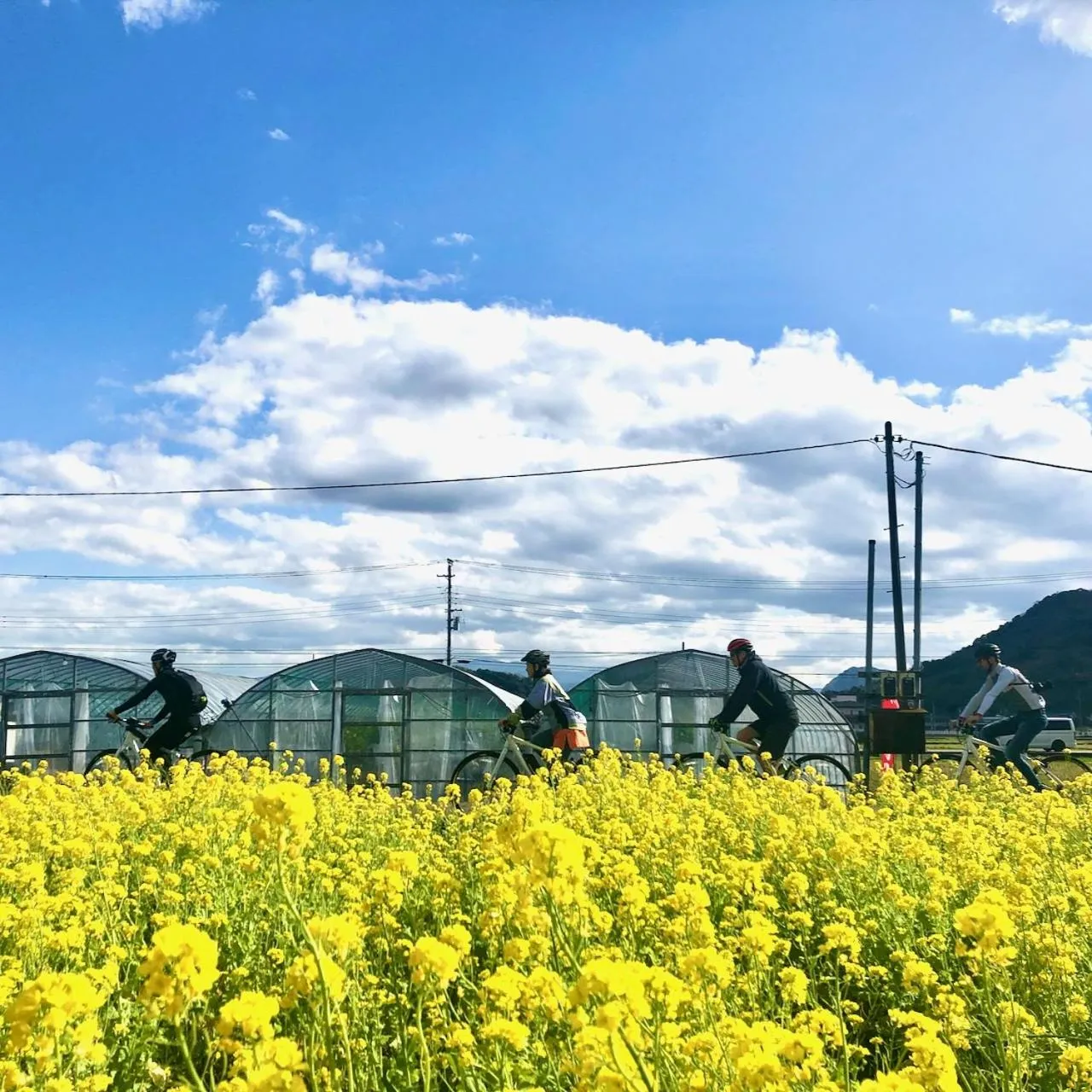 Activities in Kona Stay Bicycle Resort