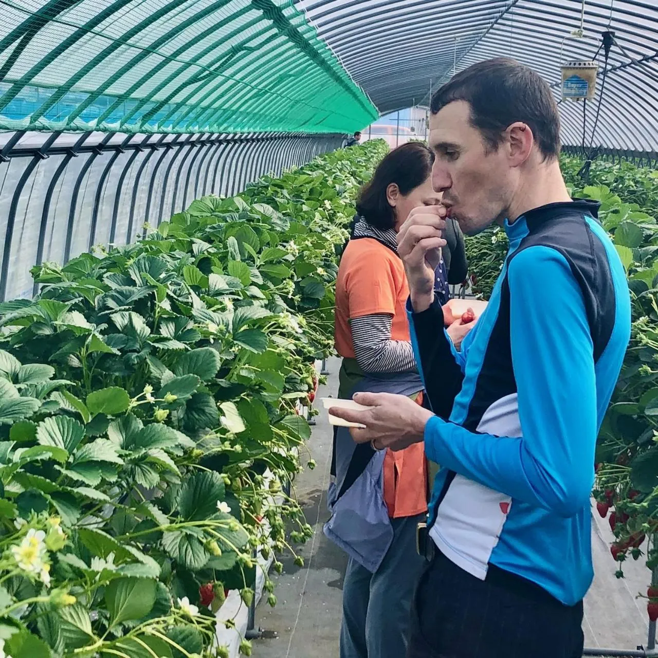 Activities in Kona Stay Bicycle Resort