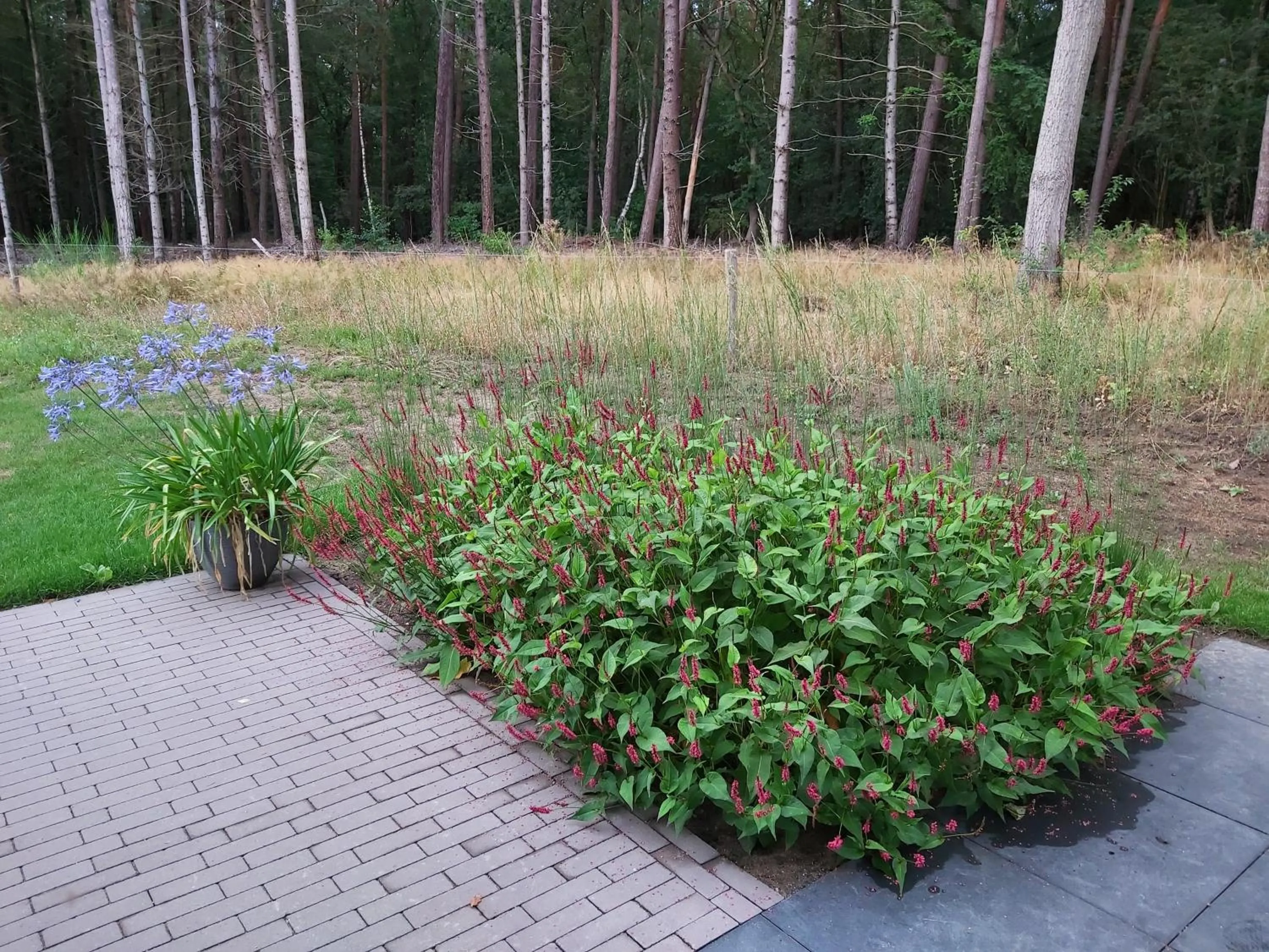 Veul oe thuus Hoeve Kroep an