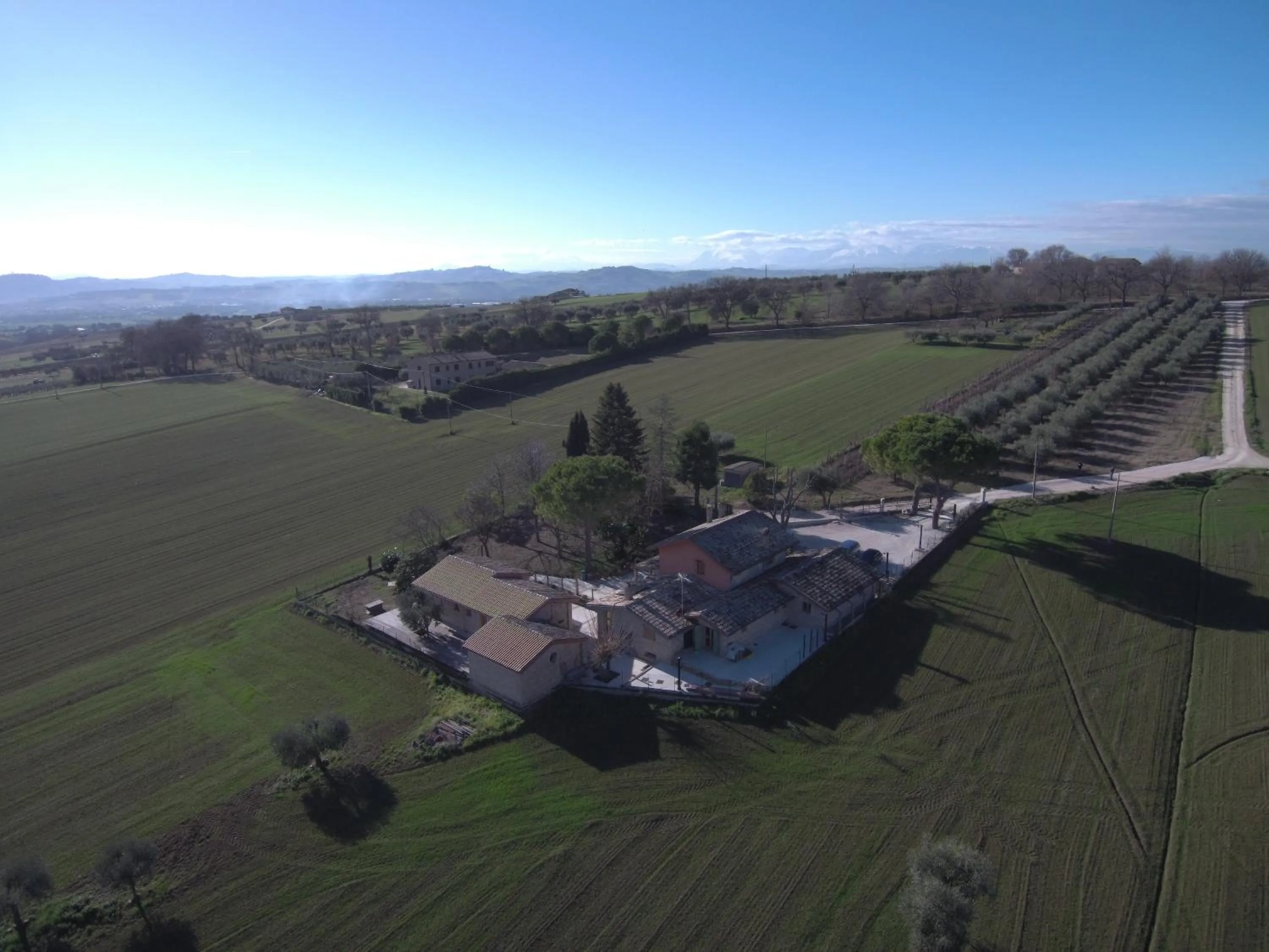 View (from property/room) in B&B Il Cavallino