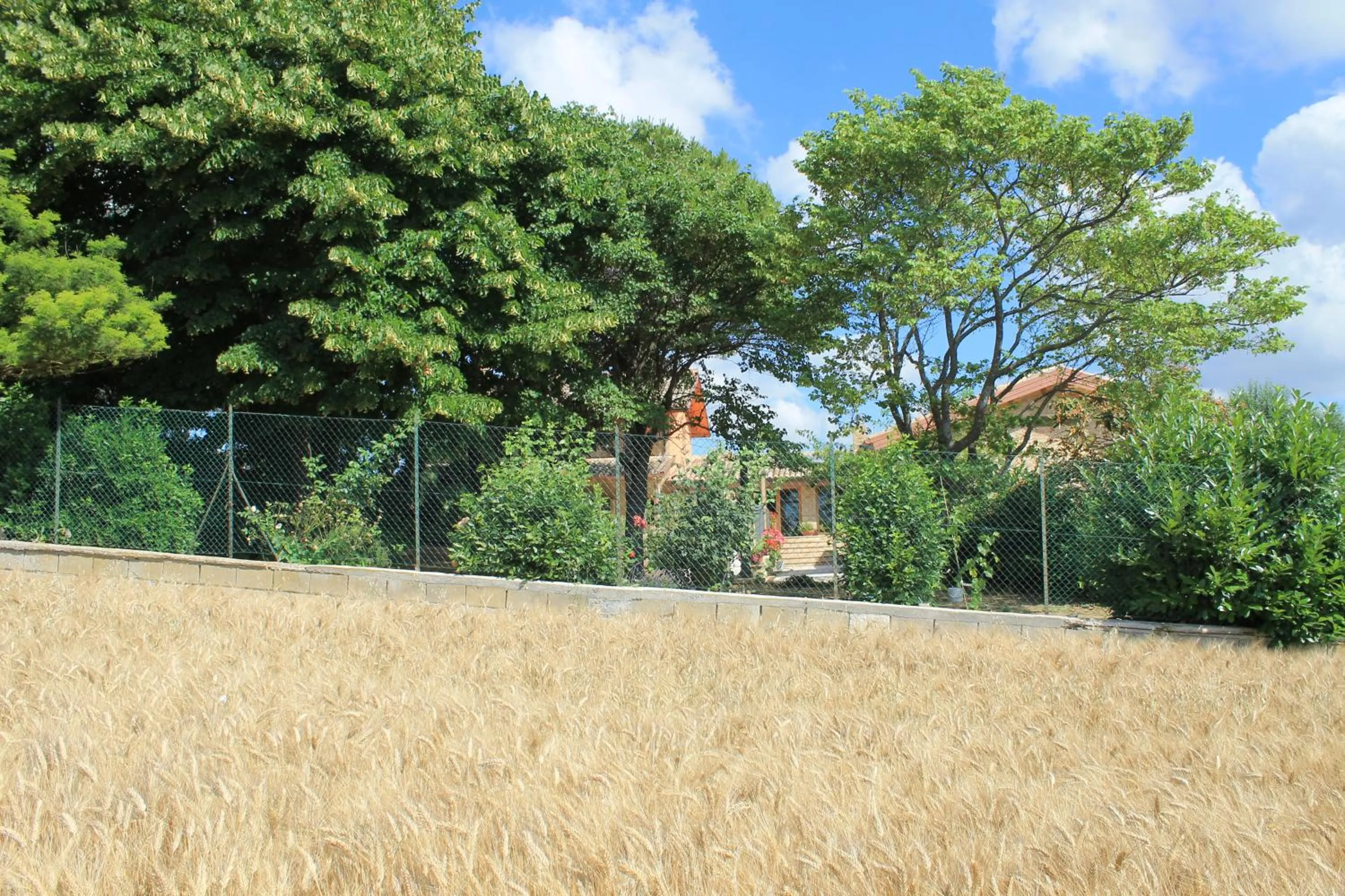 Garden in B&B Il Cavallino
