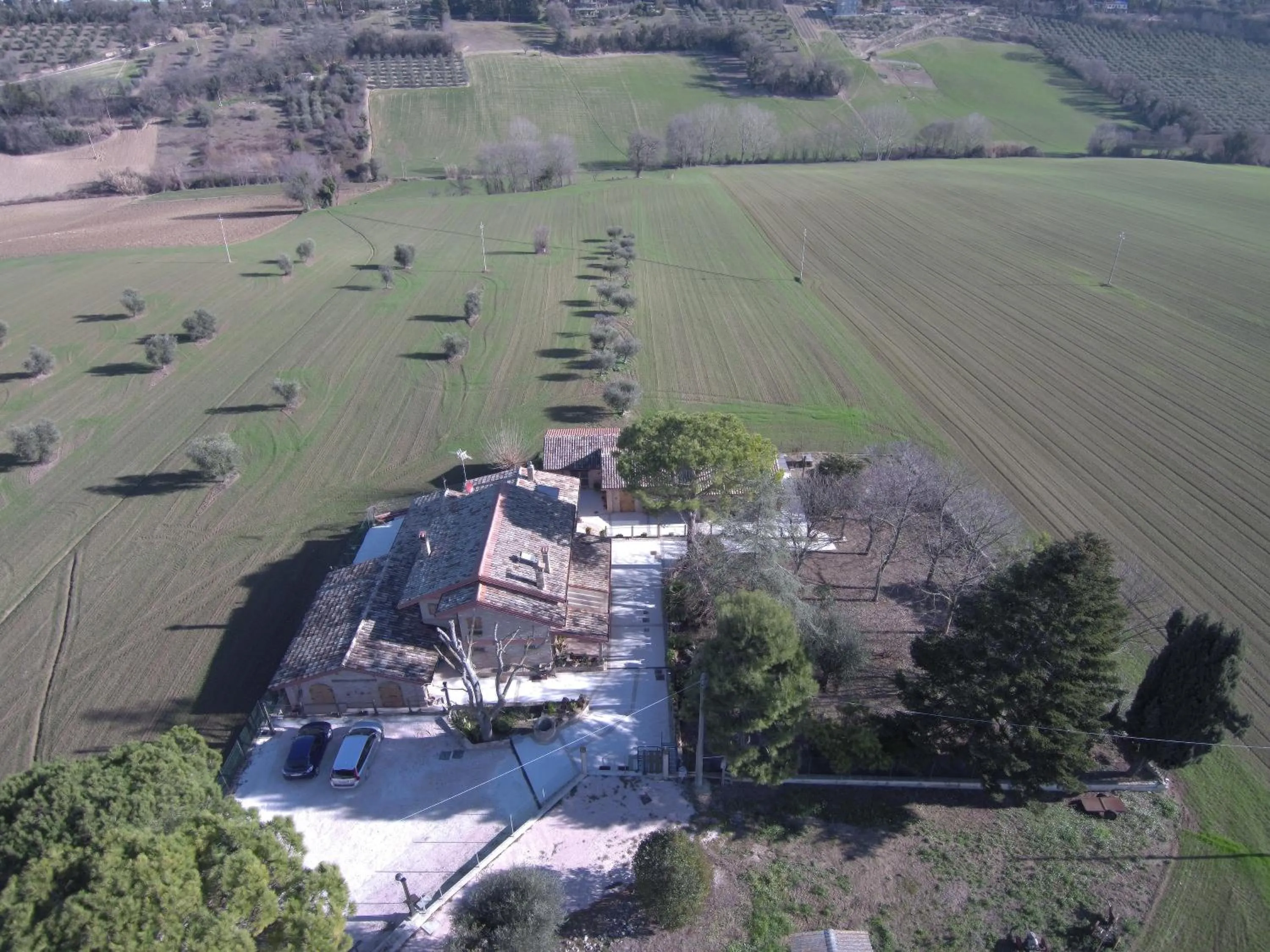 Bird's eye view in B&B Il Cavallino