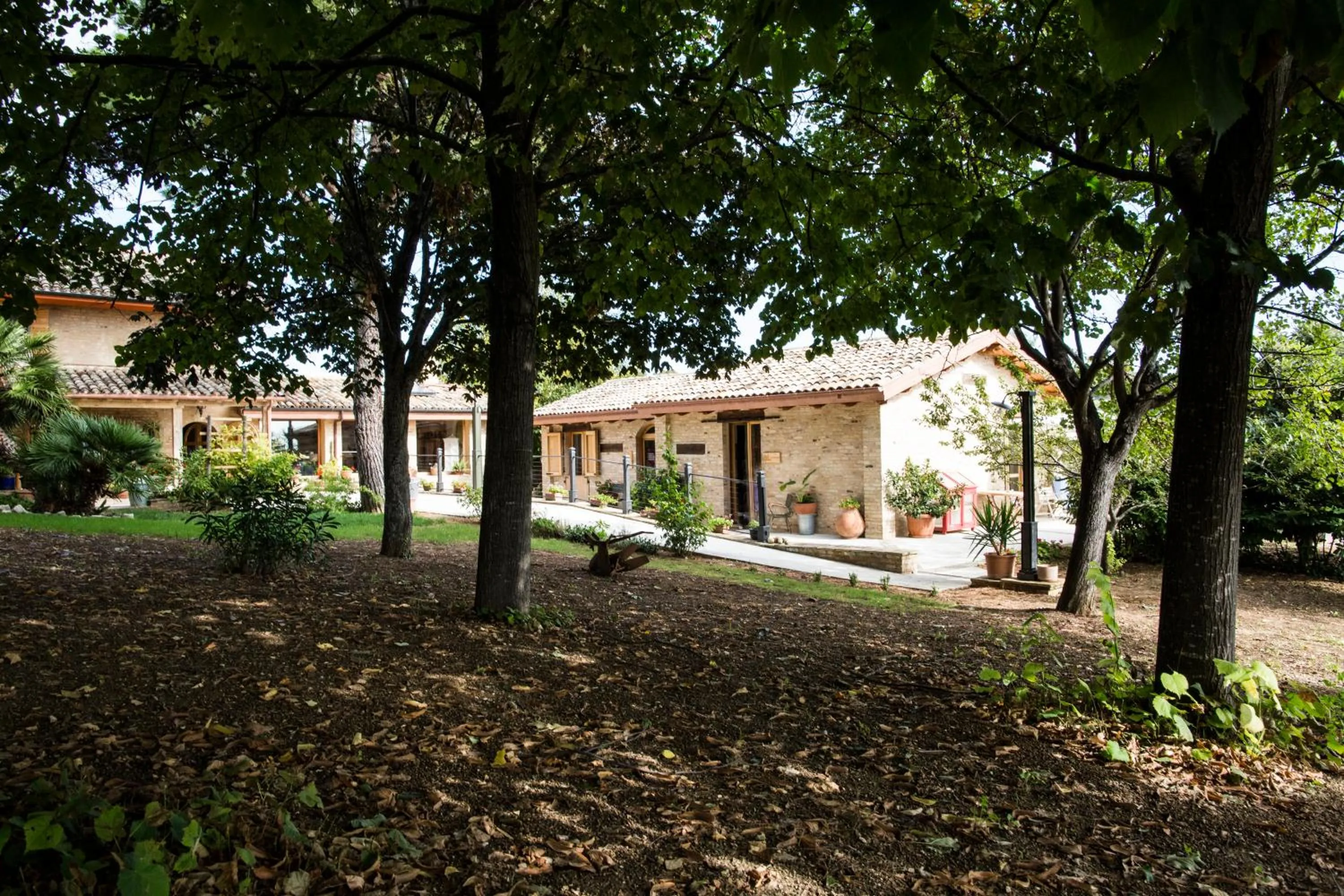 B&B Il Cavallino