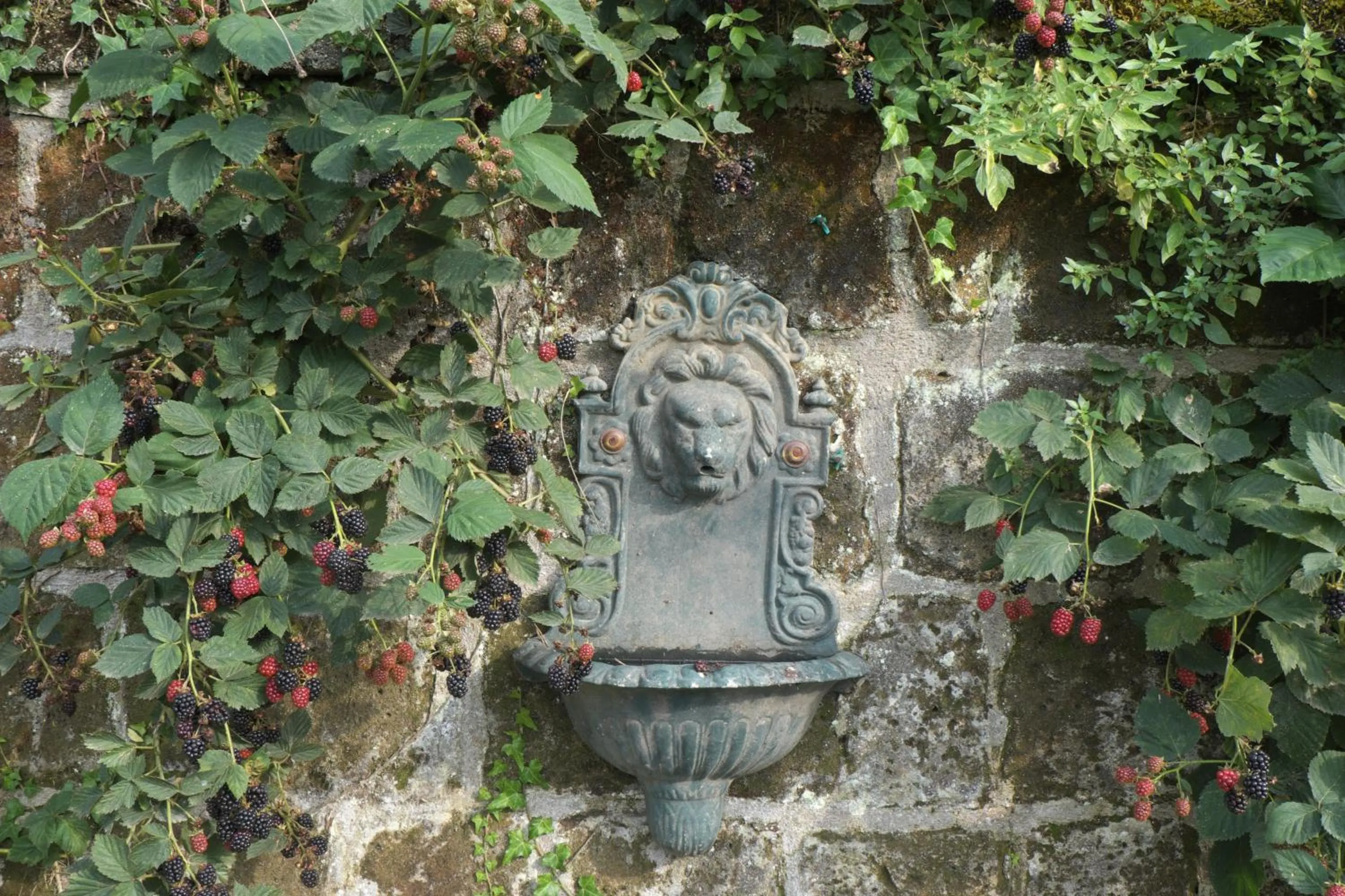 Garden in Podere San Raffaele
