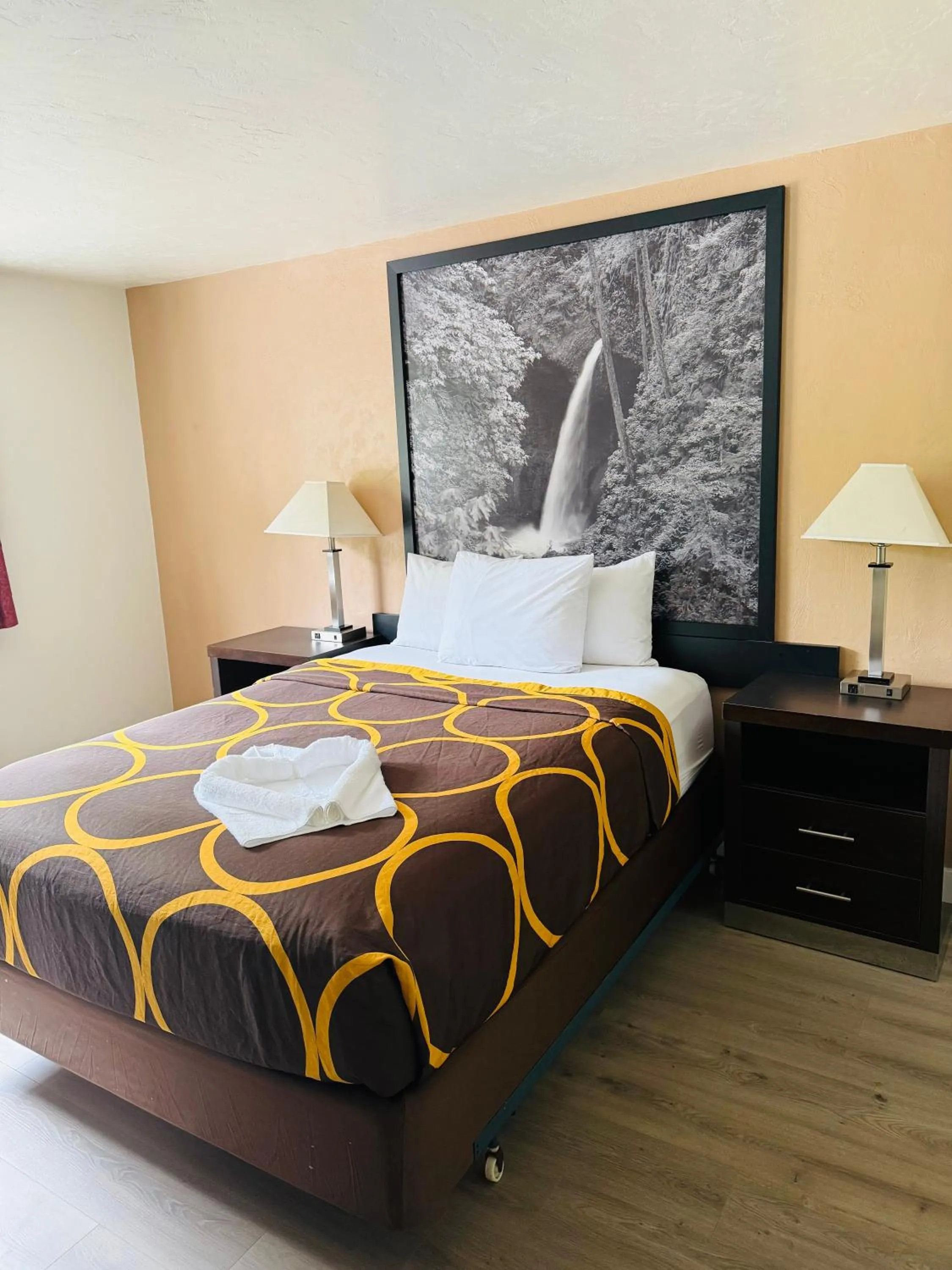 Bed in Super 8 by Wyndham Lacey Olympia Area