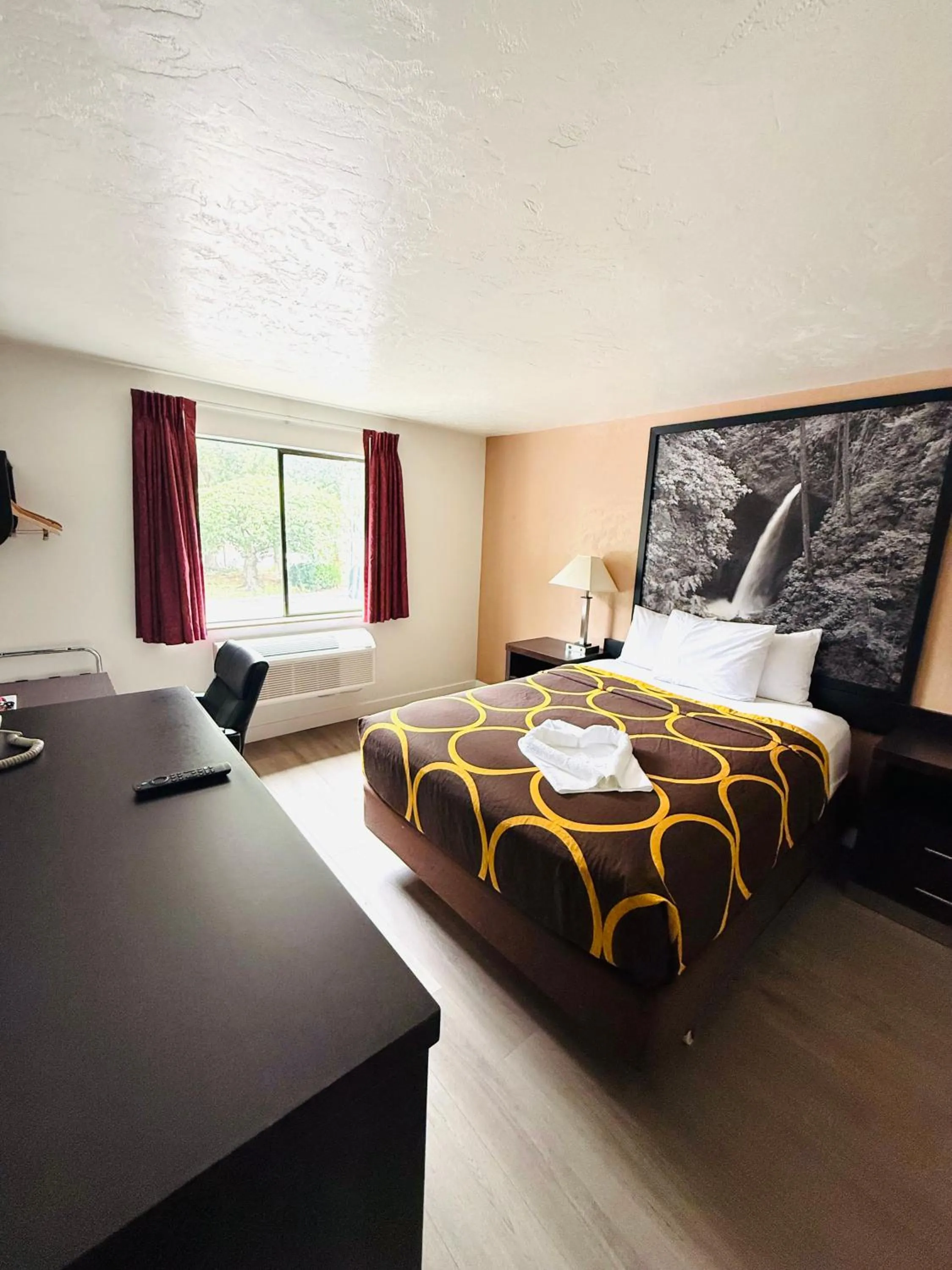 Bed in Super 8 by Wyndham Lacey Olympia Area