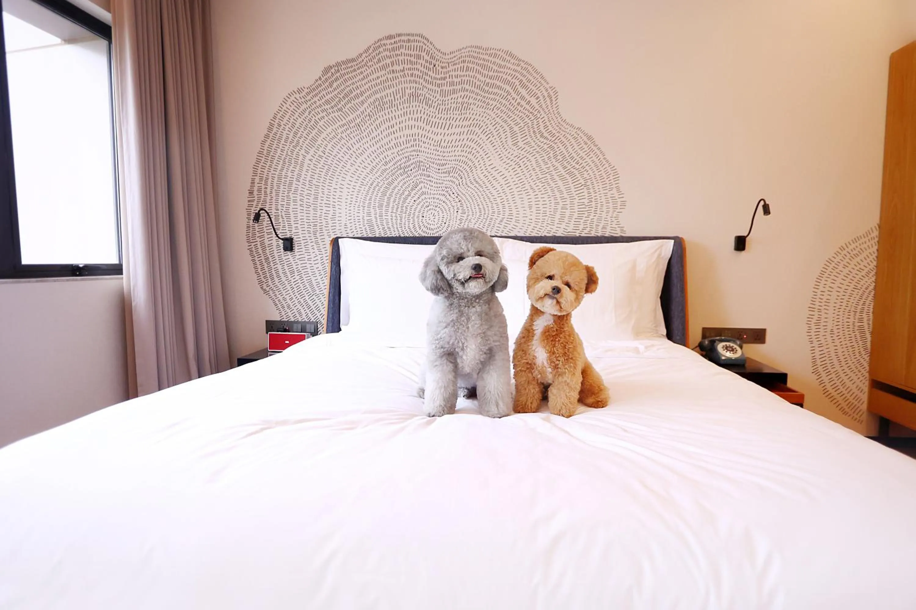pet friendly, Bed in BEI Zhaolong Hotel, JdV by Hyatt
