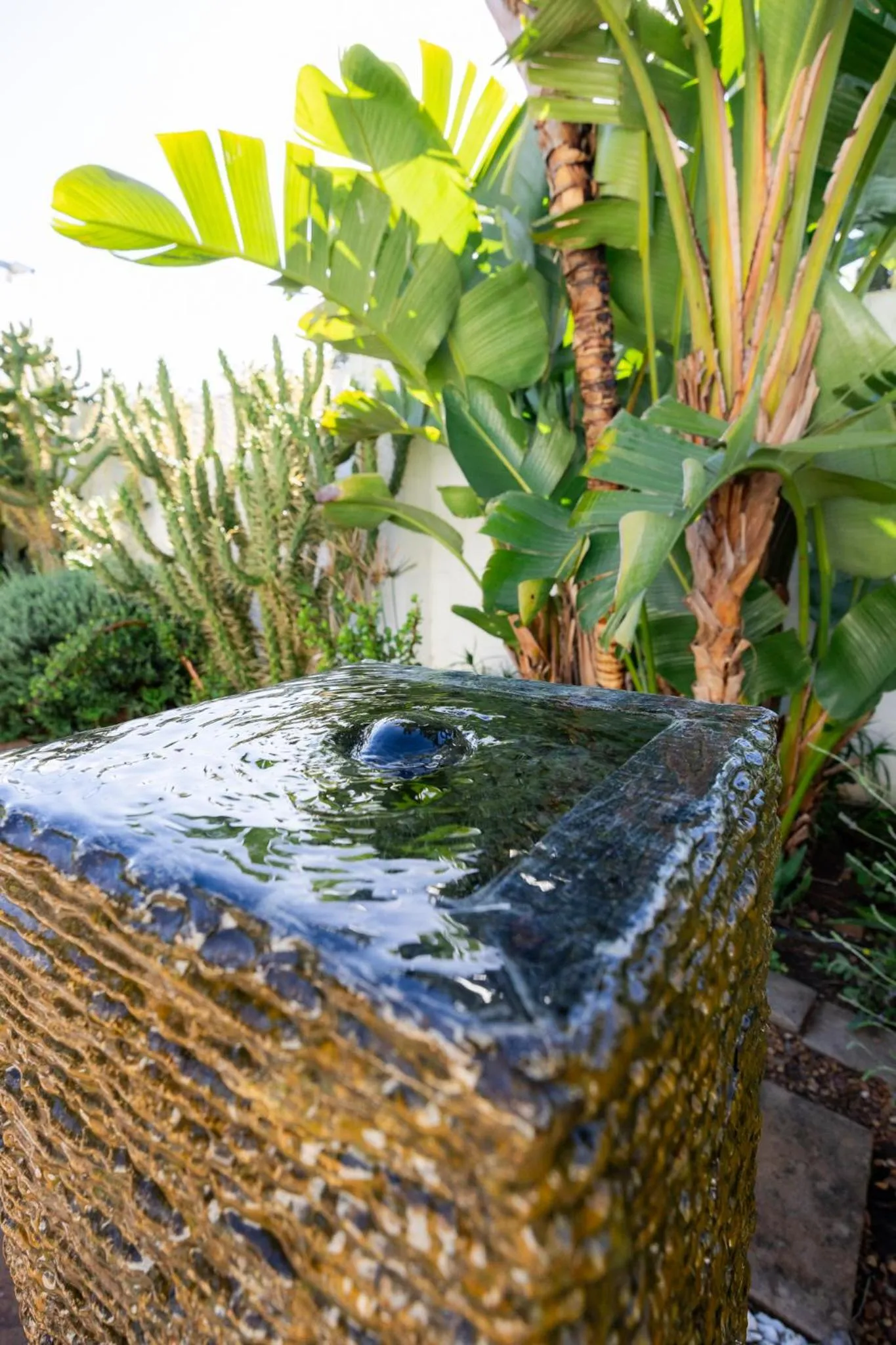 Garden in Cosimi Guest House