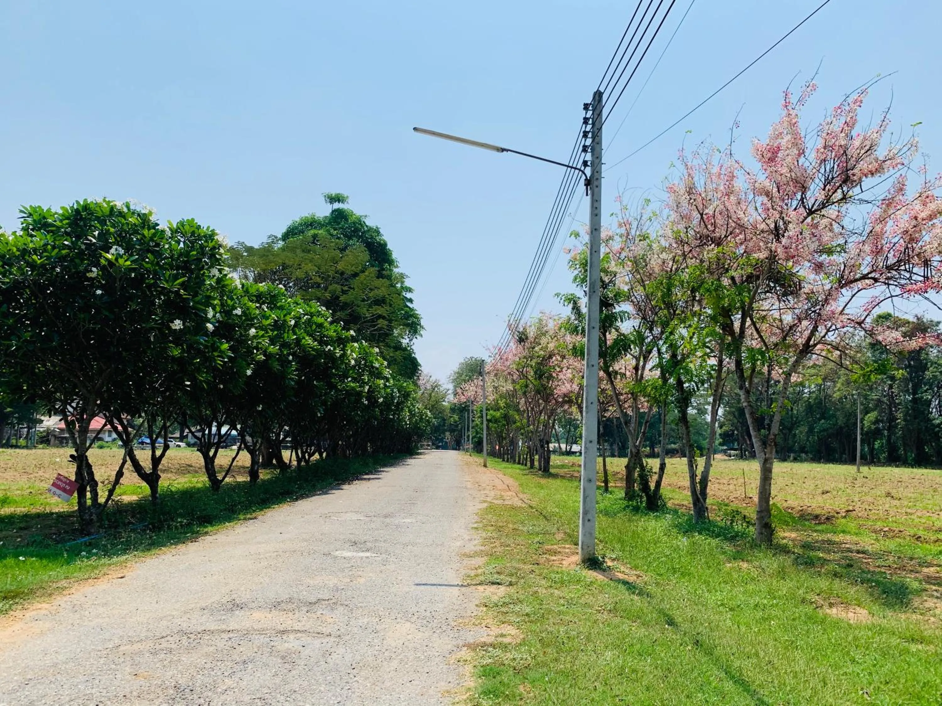 Natural landscape in Buasawan Resort & Restaurant