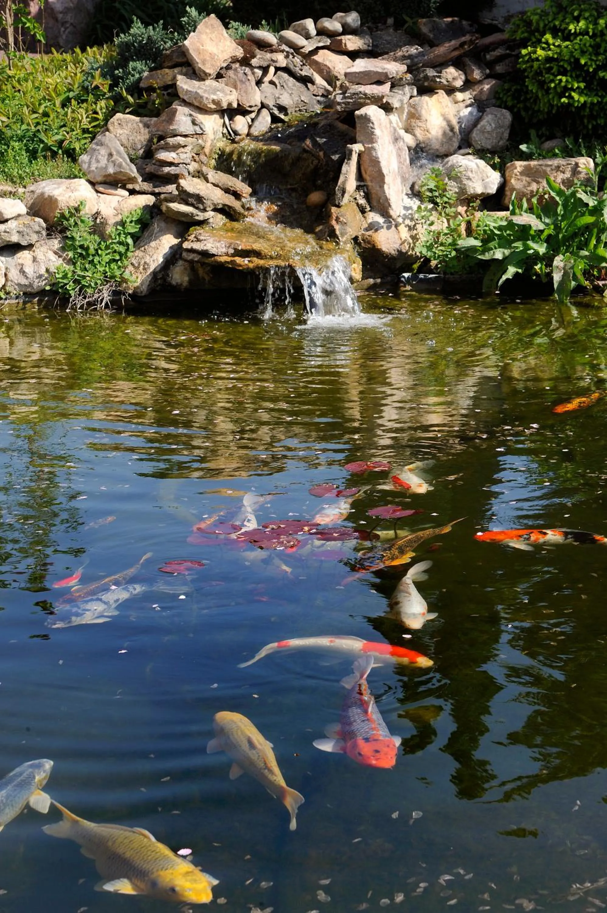 Other in Logis Hotel Des Grands Vins