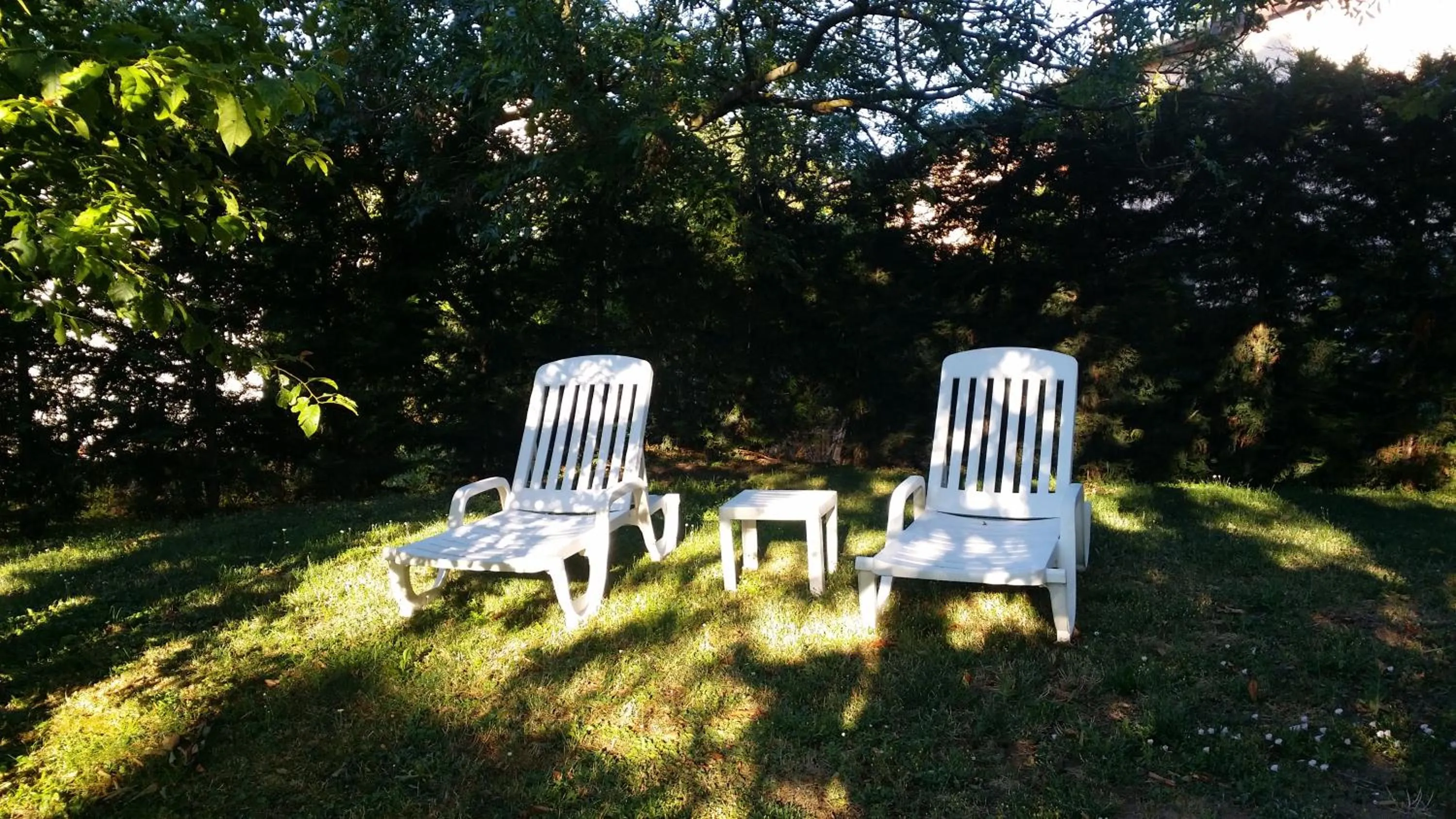 Logis Hotel Des Grands Vins