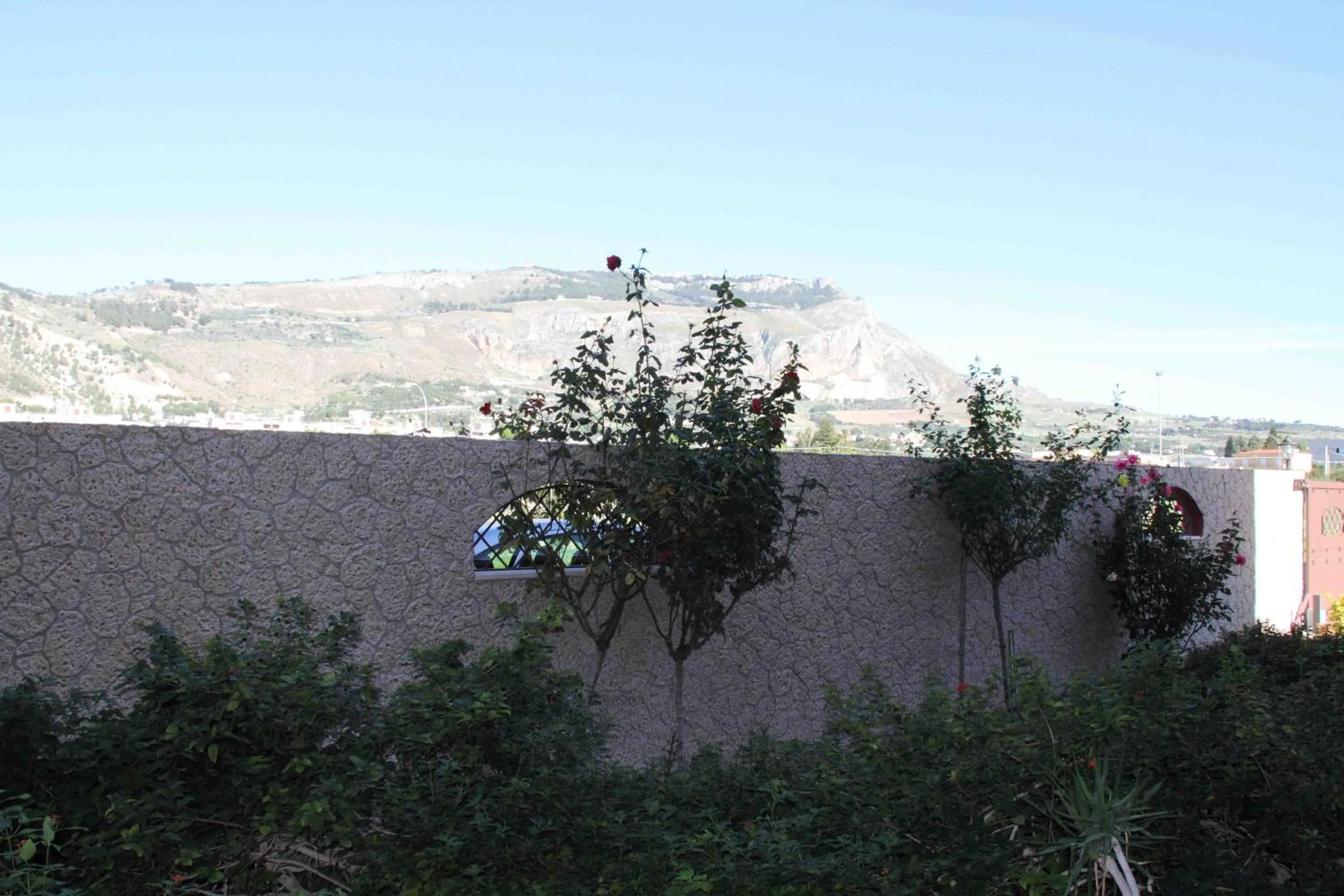 Property building in Il Quadrifoglio