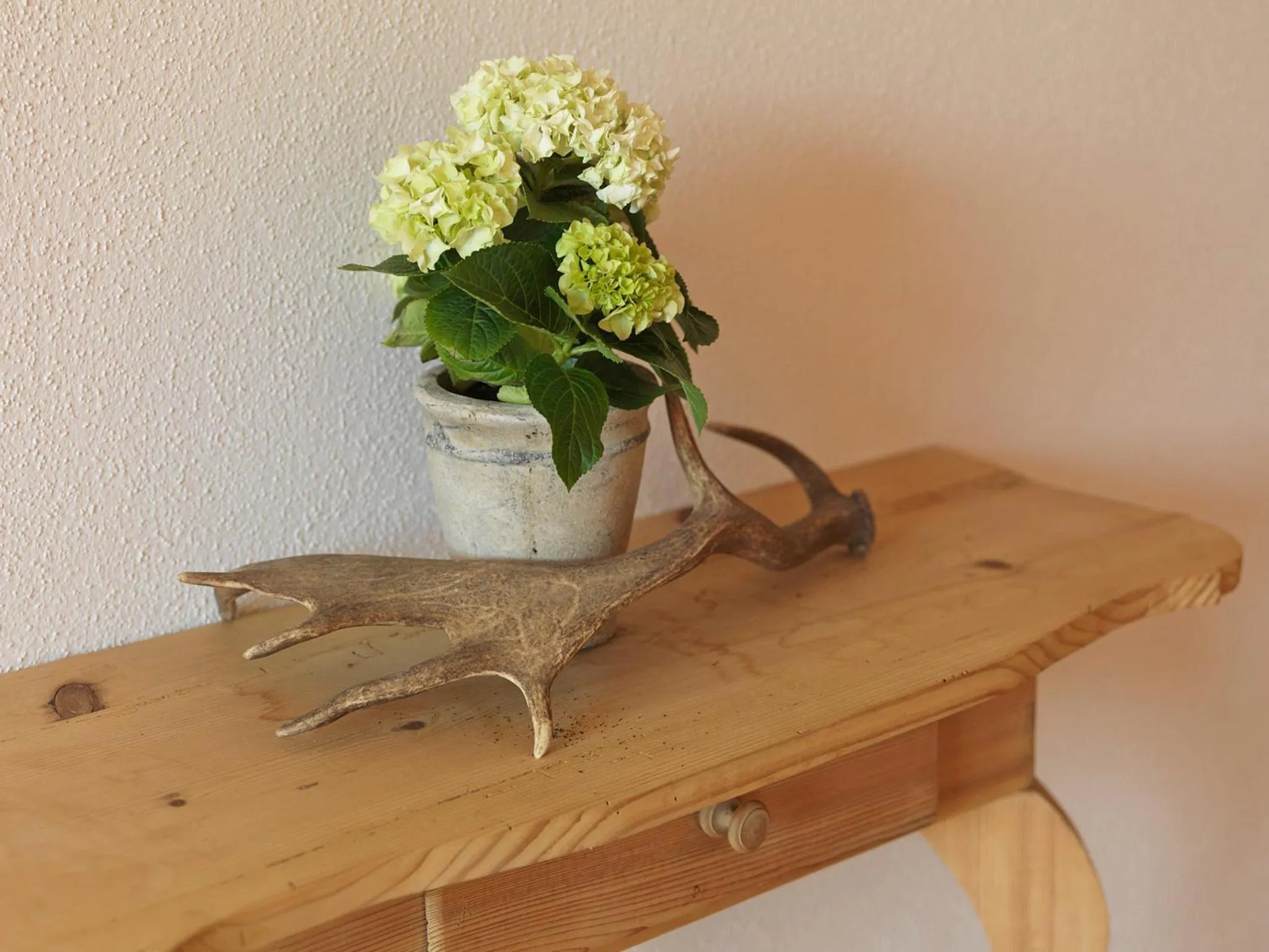 Area and facilities in Stallerhof