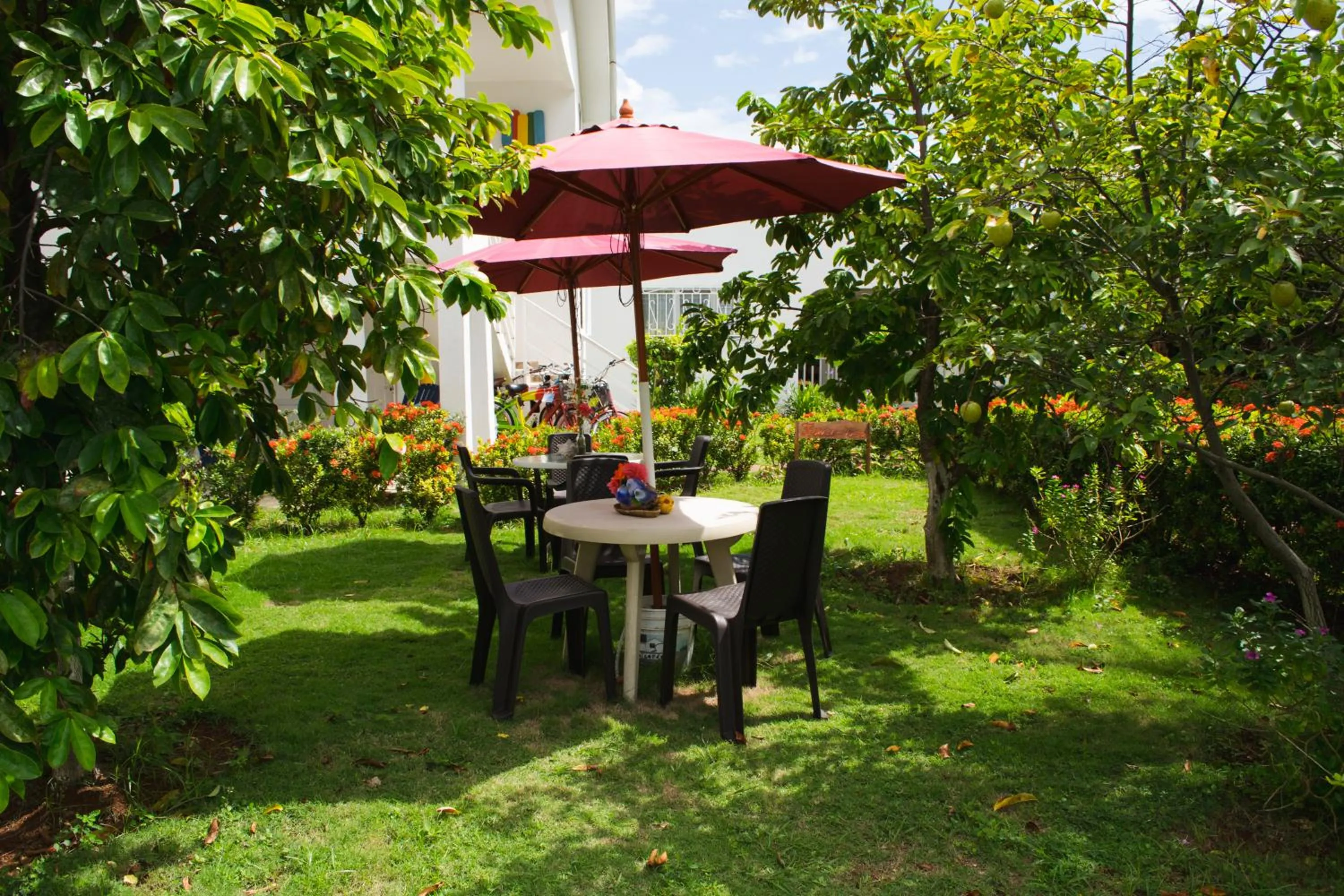 Garden in Cabañas Green Yard