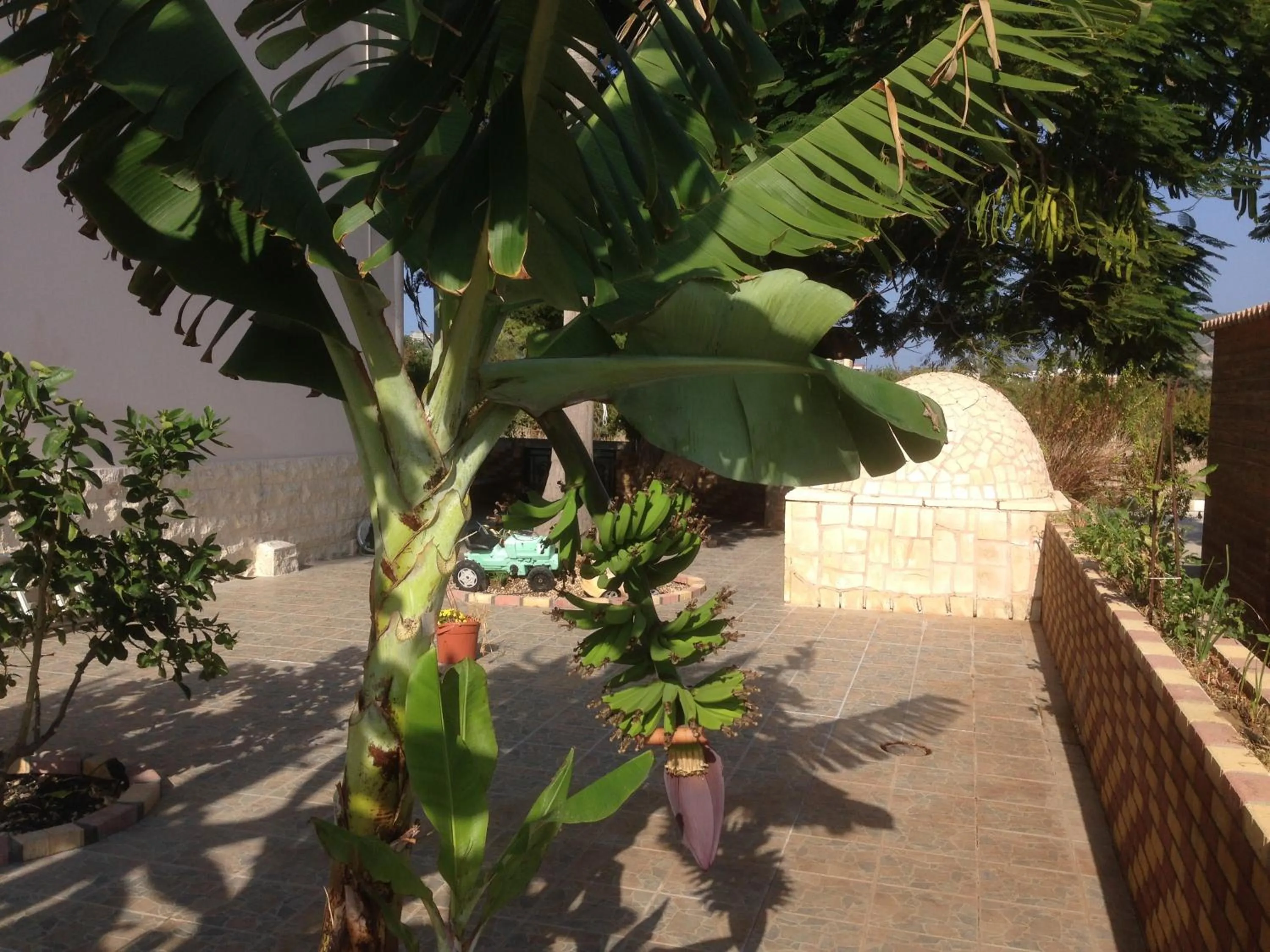 Garden in Astrofegia Apartments Near The Sea