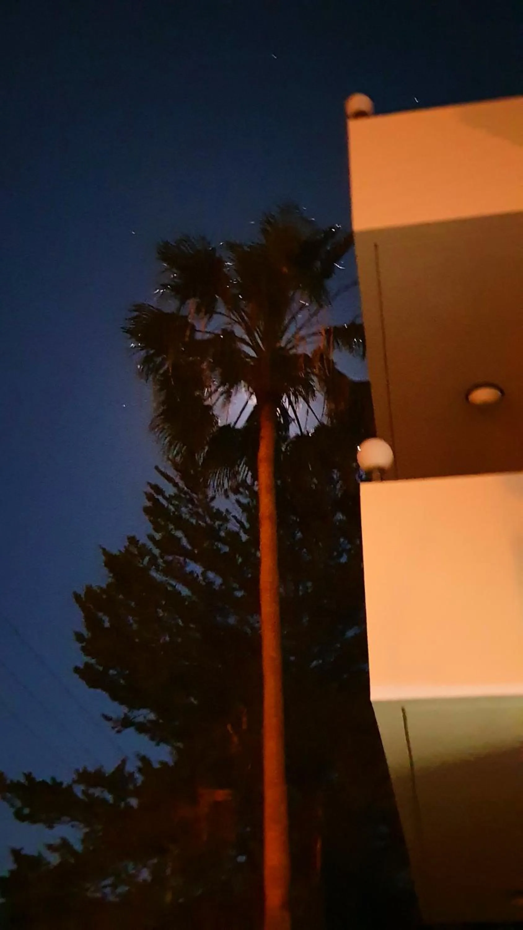 Garden view in Astrofegia Apartments Near The Sea