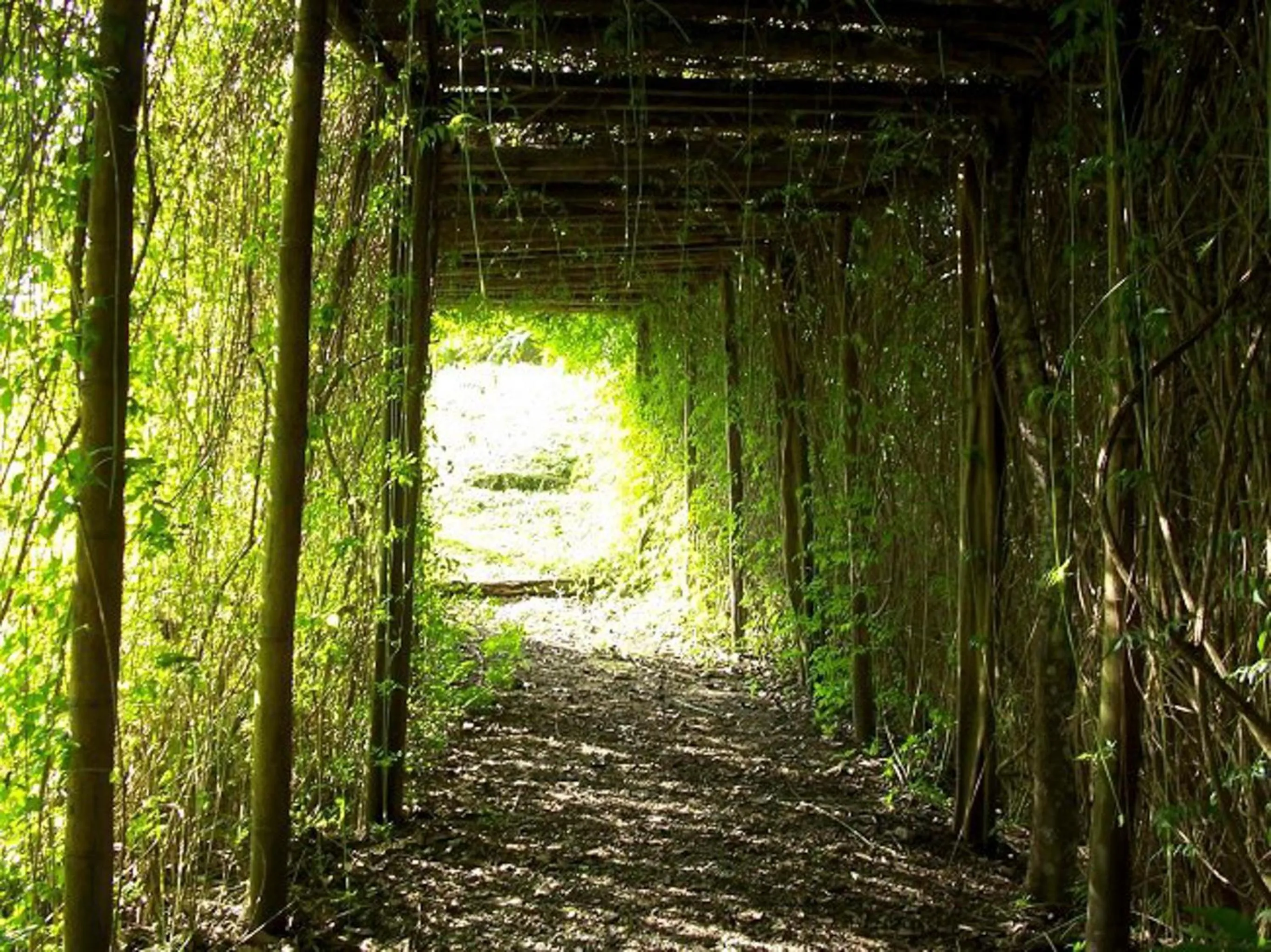 Garden in Hotel Campestre la Navarra