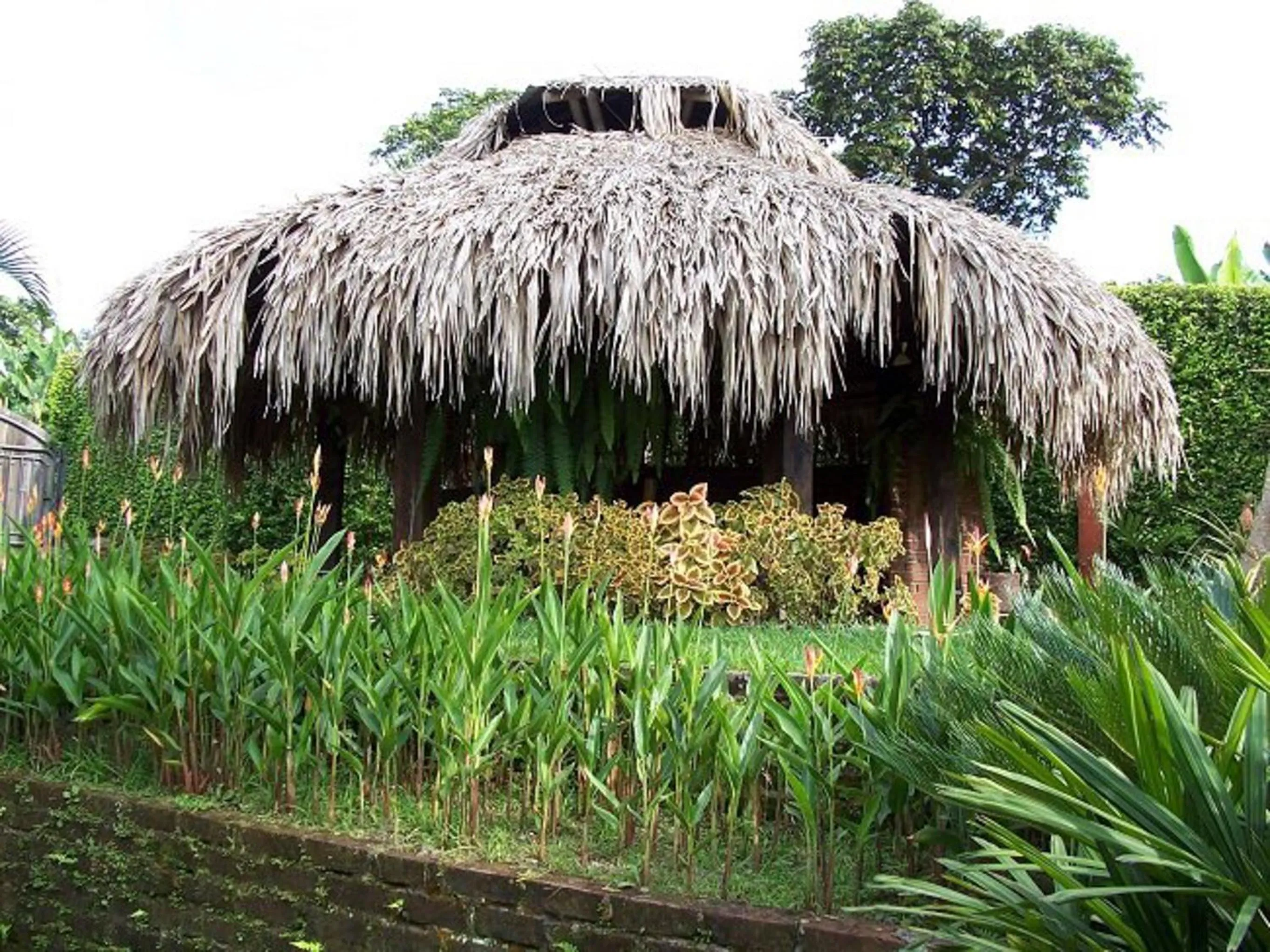 BBQ facilities in Hotel Campestre la Navarra